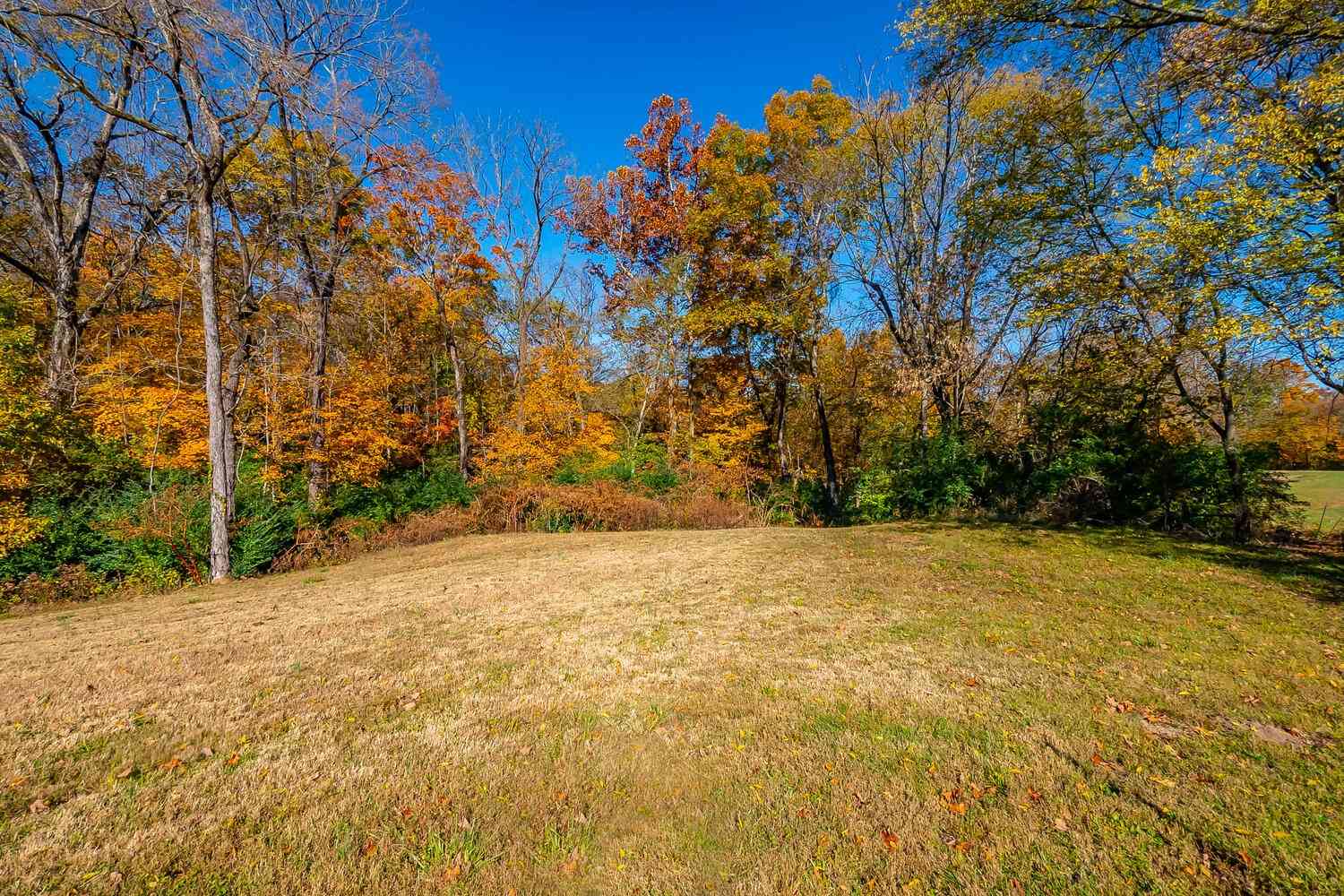 2360 Glennridge Rd, Columbia, Tennessee image 15