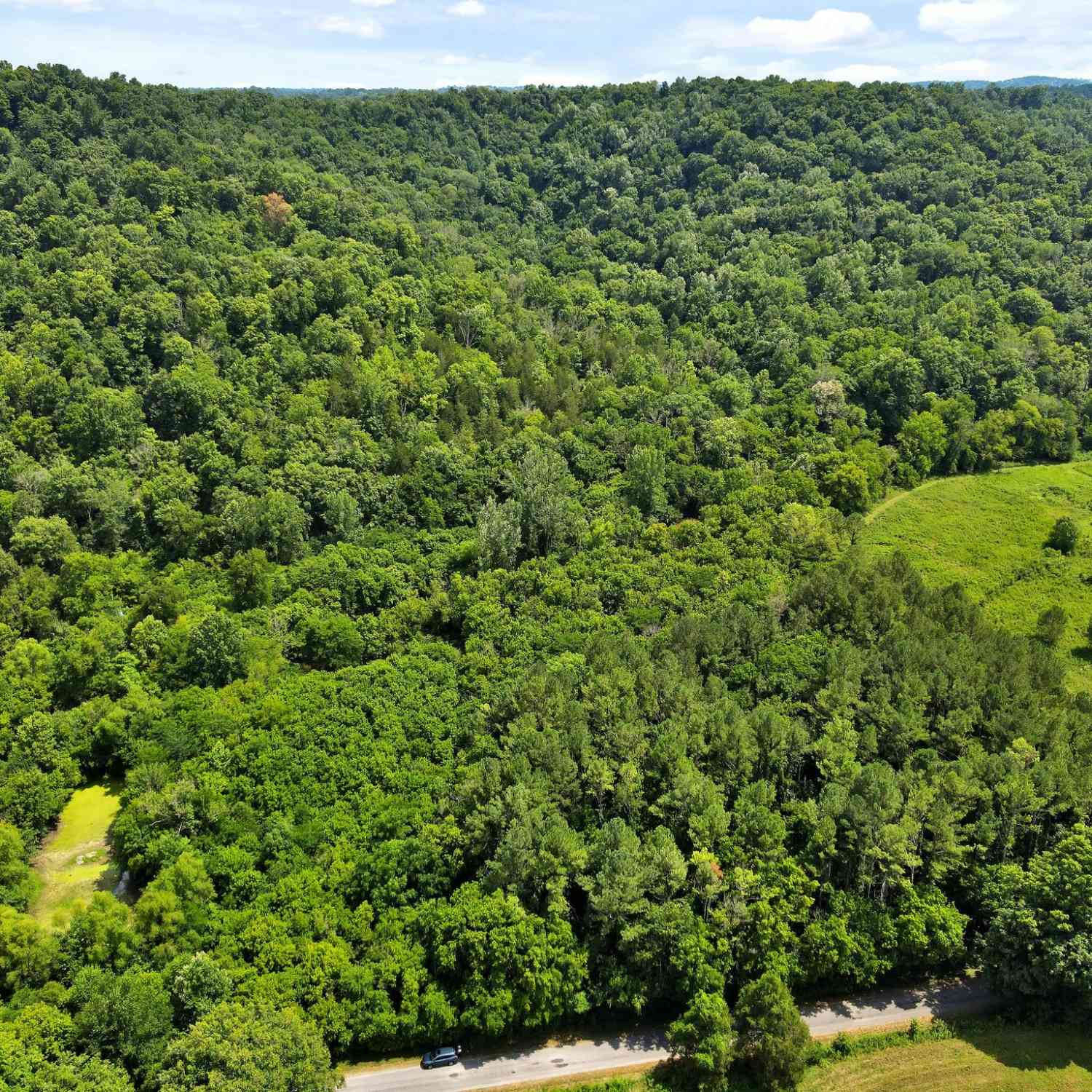 Red Oak Rd, Pulaski, Tennessee image 3