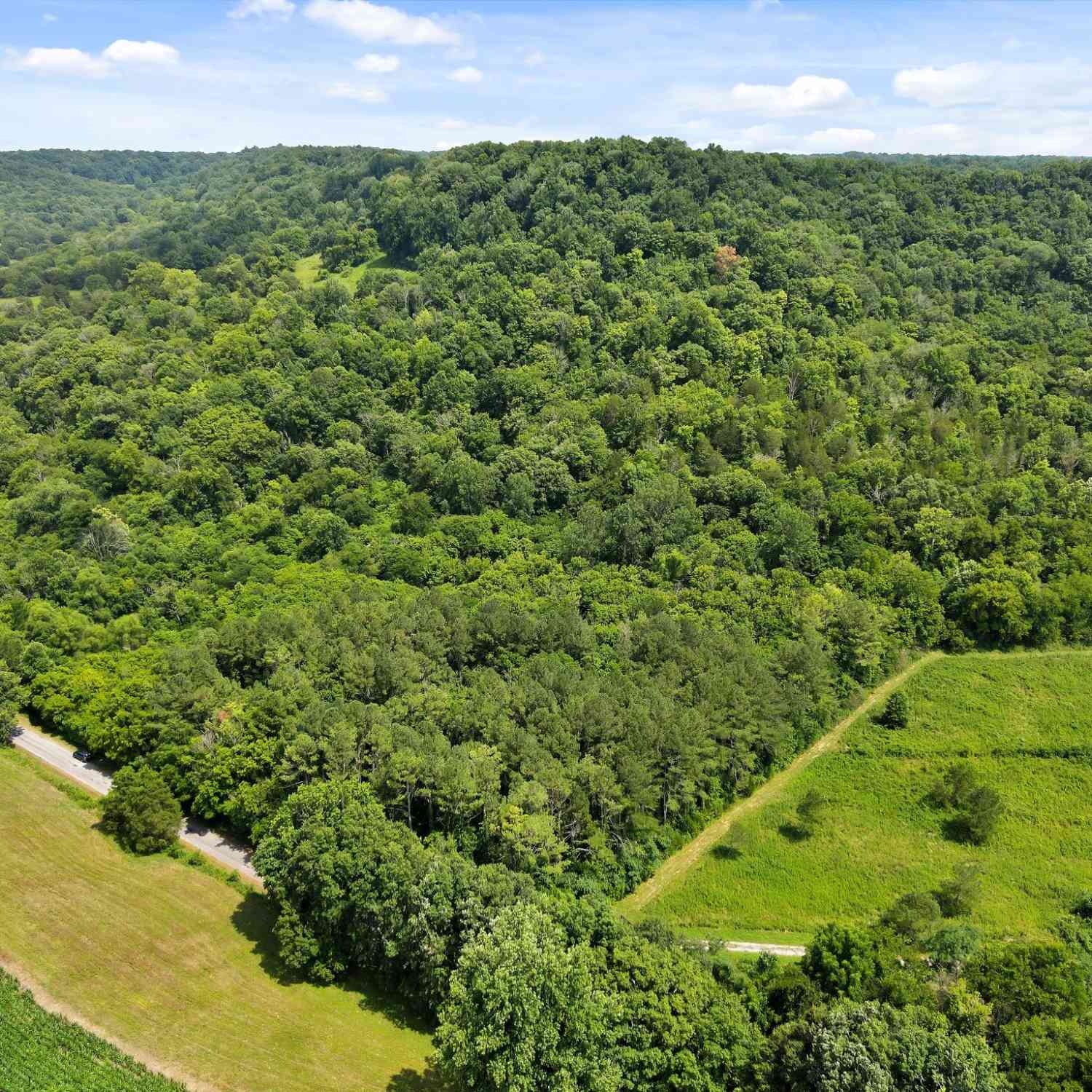 Red Oak Rd, Pulaski, Tennessee image 8