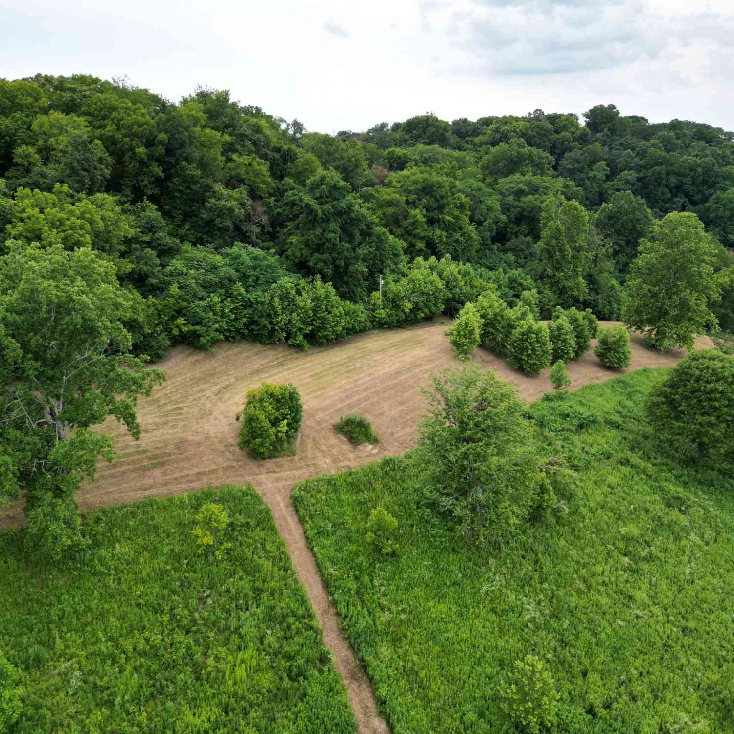 3011 Brown Hollow Rd, Columbia, Tennessee image 3