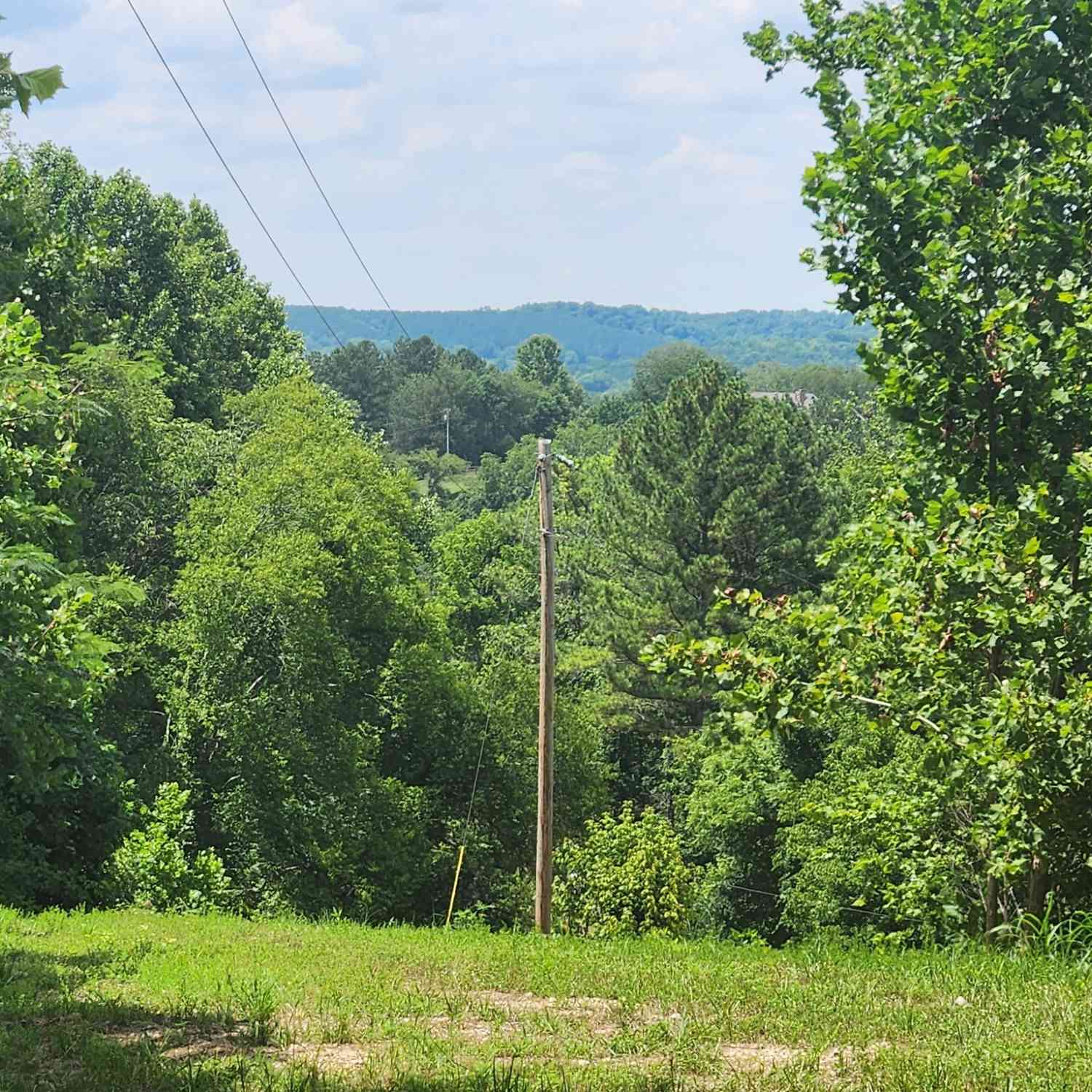 3011 Brown Hollow Rd, Columbia, Tennessee image 12