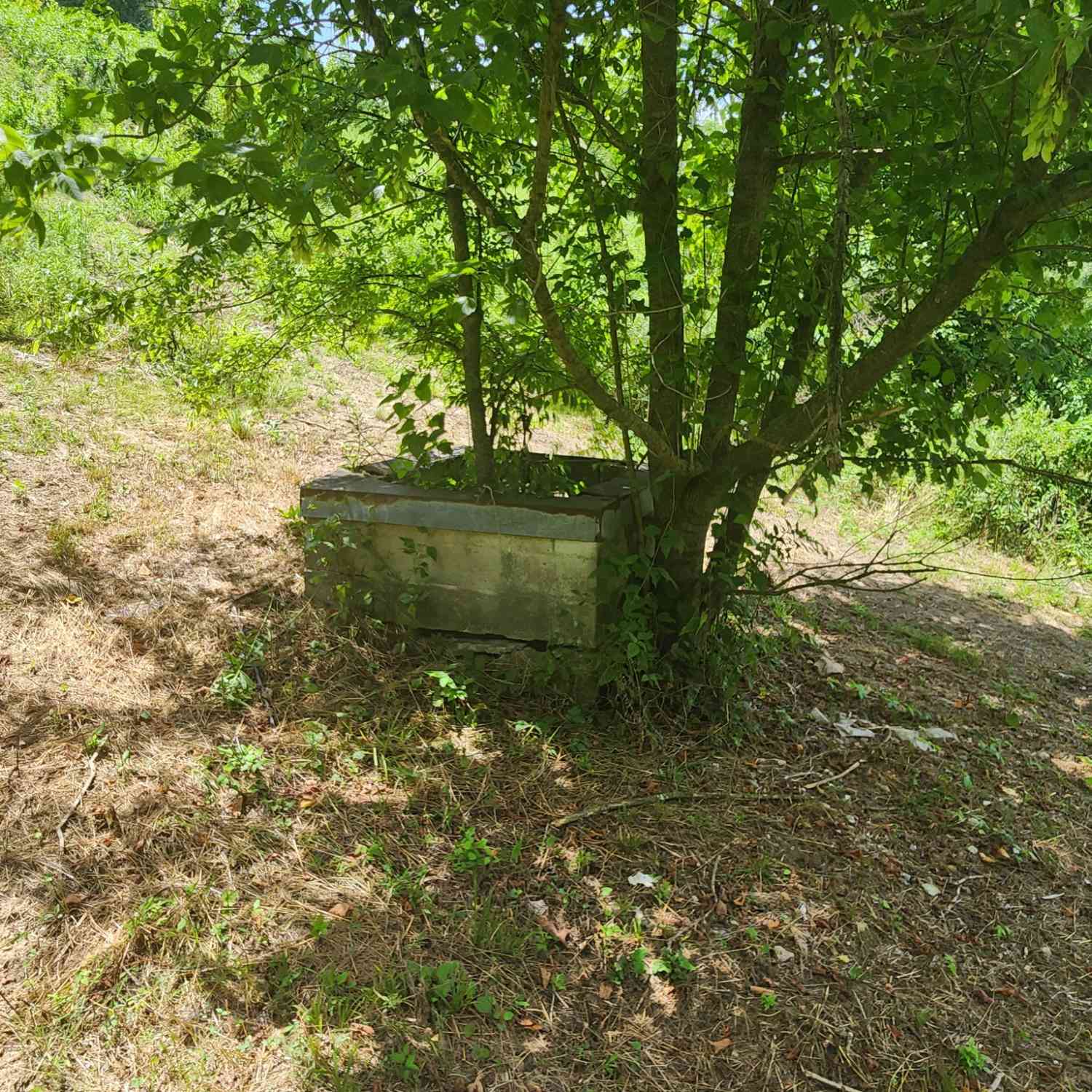 3011 Brown Hollow Rd, Columbia, Tennessee image 14