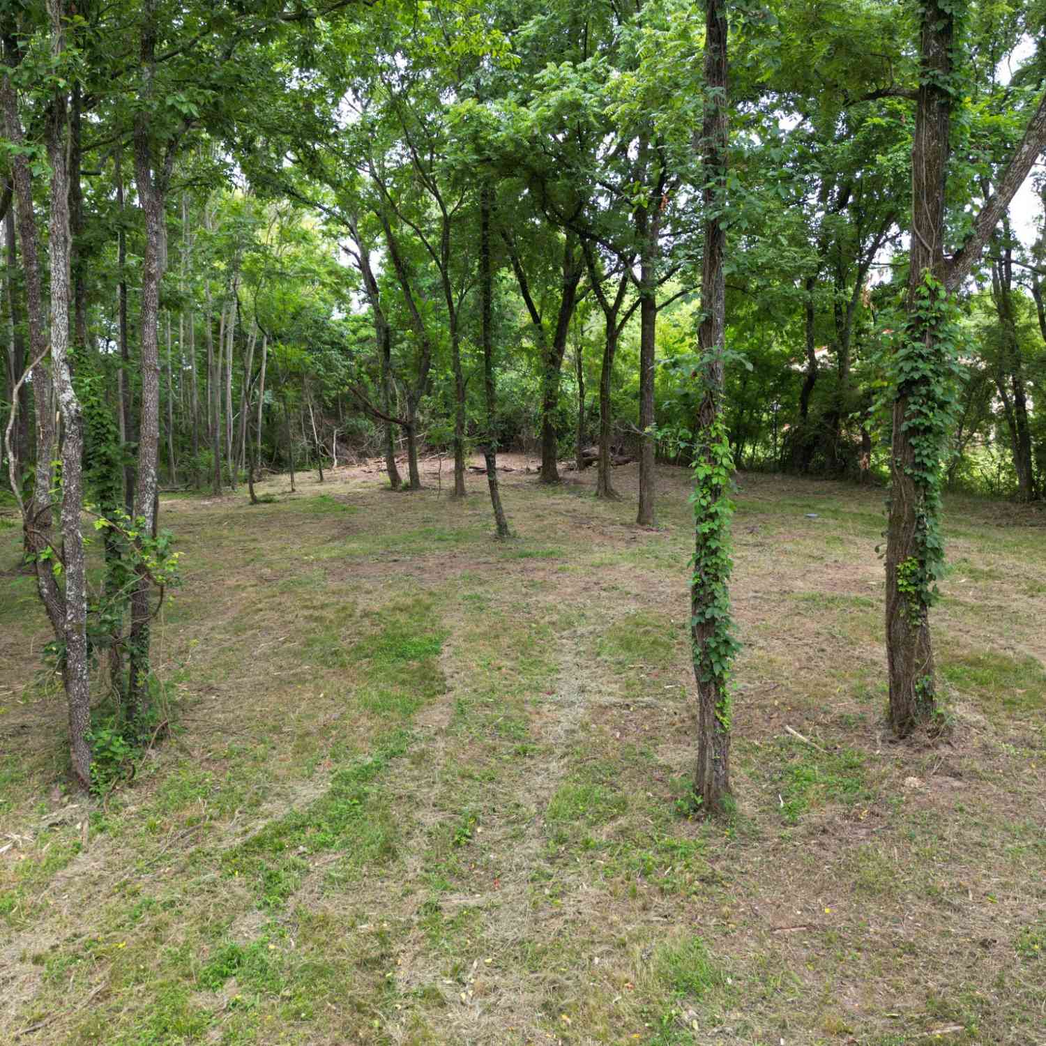 3011 Brown Hollow Rd, Columbia, Tennessee image 11