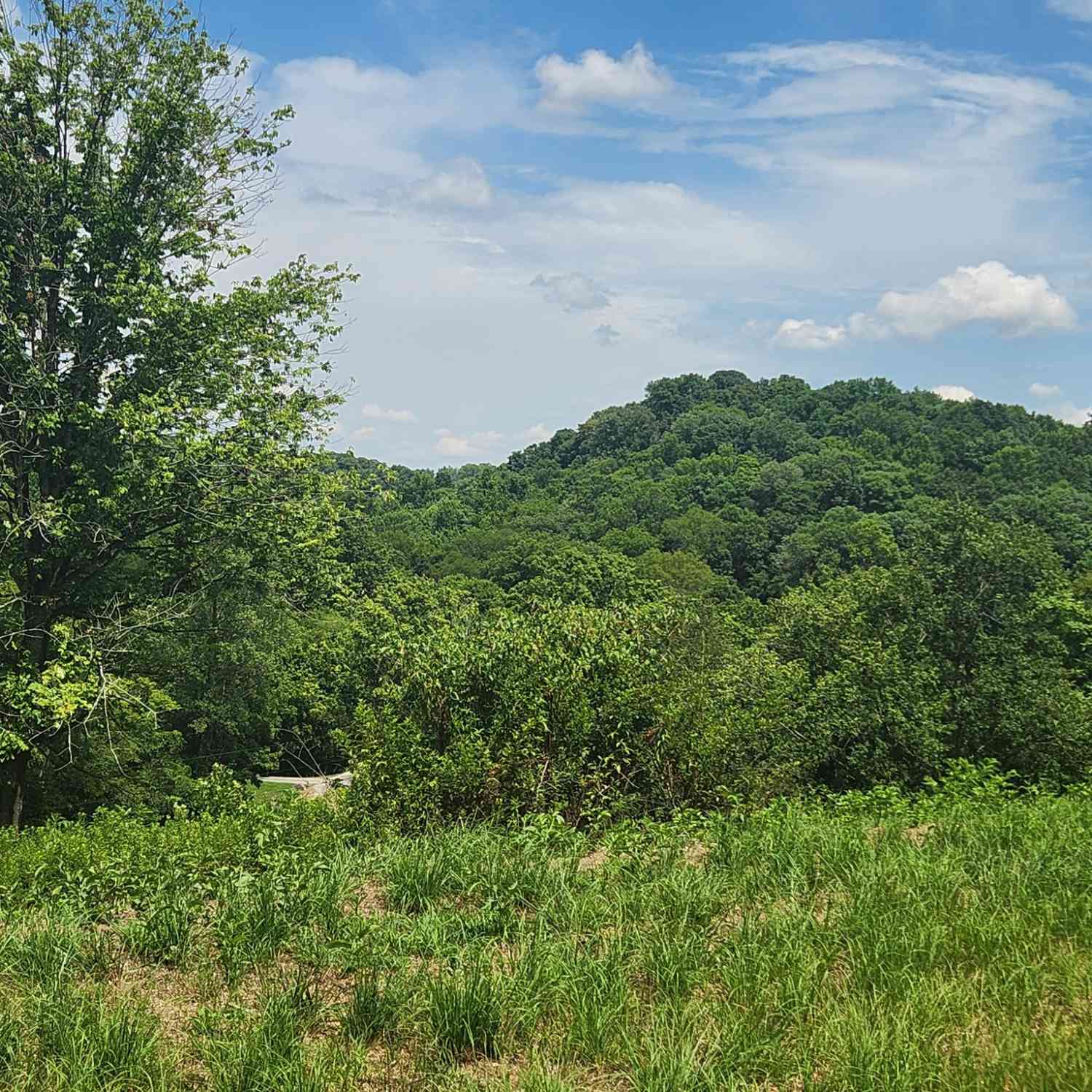 3011 Brown Hollow Rd, Columbia, Tennessee image 13