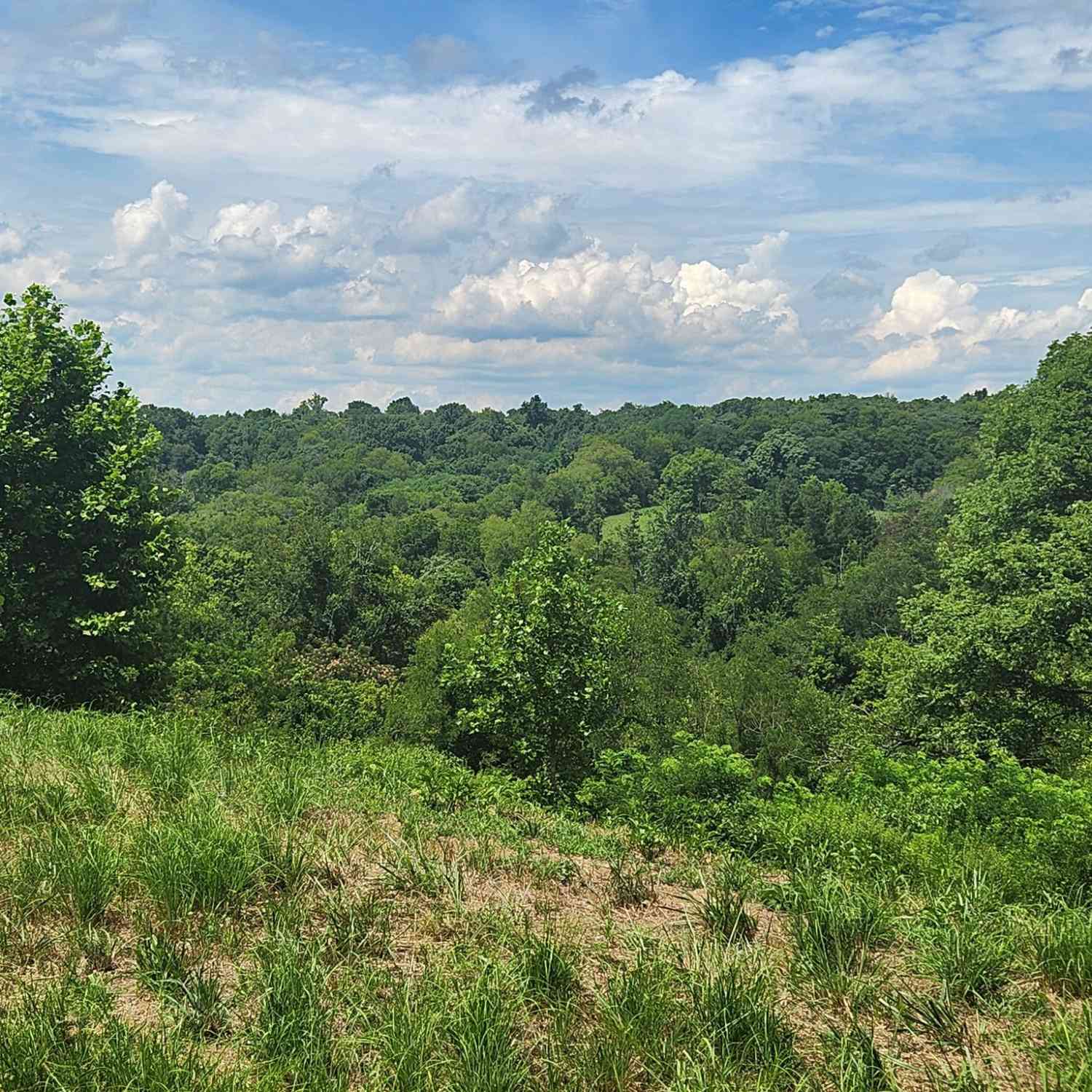 3011 Brown Hollow Rd, Columbia, Tennessee image 15
