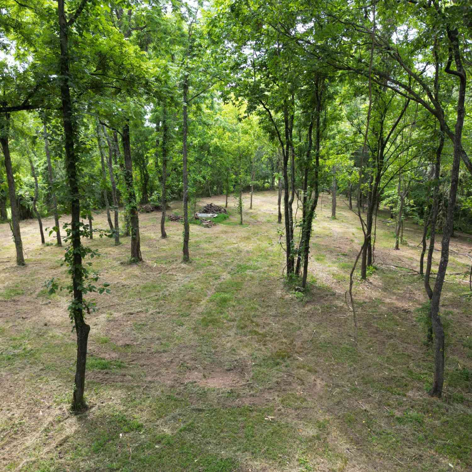 3011 Brown Hollow Rd, Columbia, Tennessee image 8