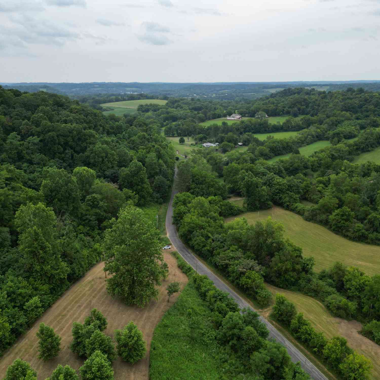 3011 Brown Hollow Rd, Columbia, Tennessee image 10