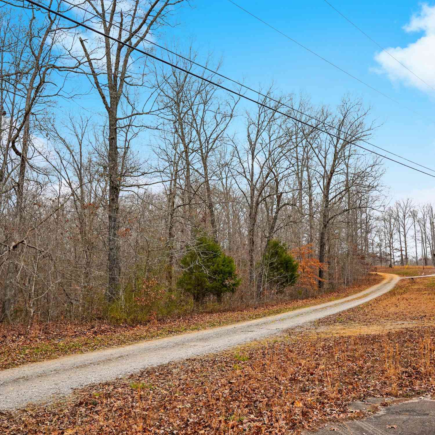 Bill Brake Road, Dover, Tennessee image 9