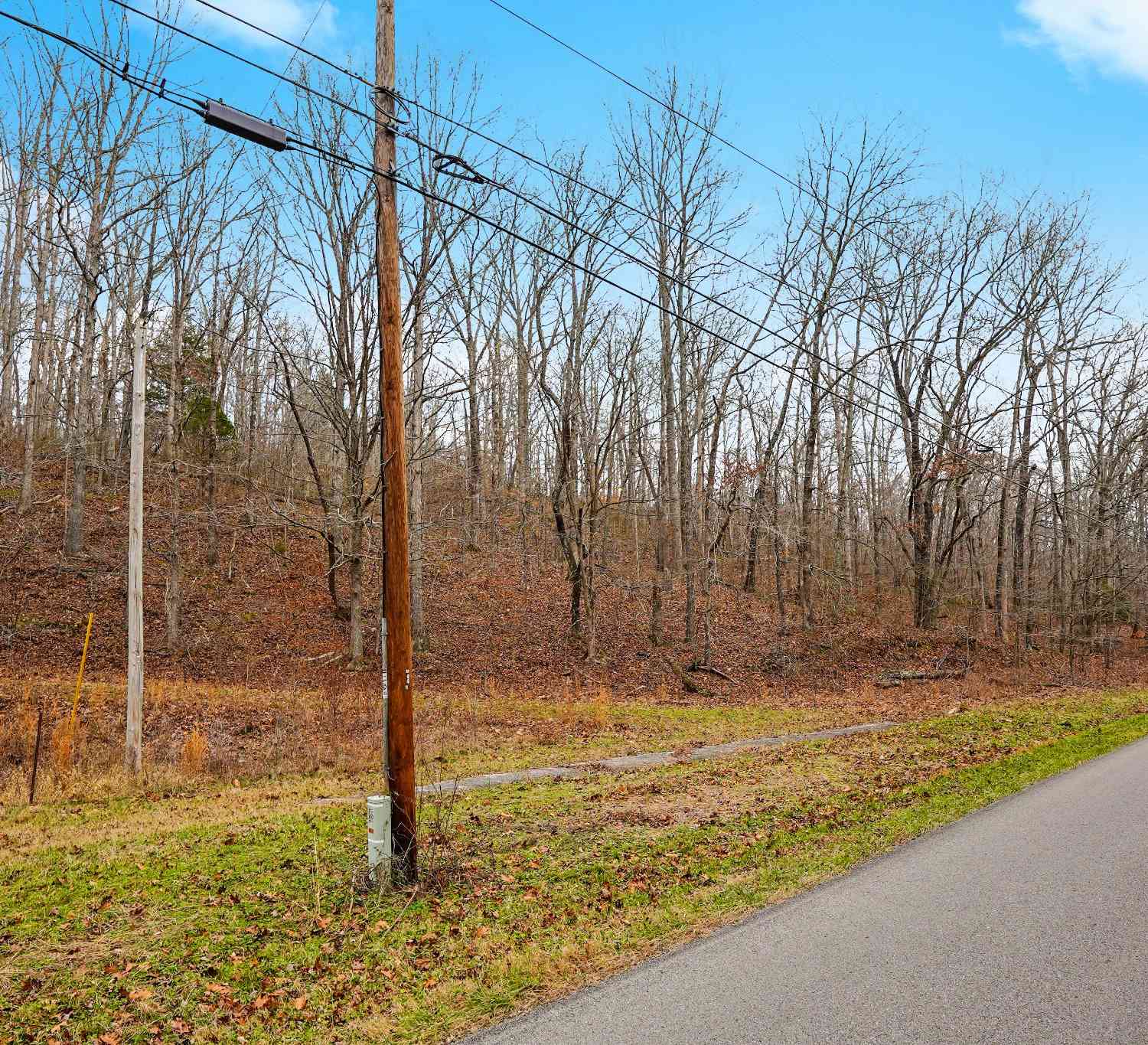 Bill Brake Road, Dover, Tennessee image 1