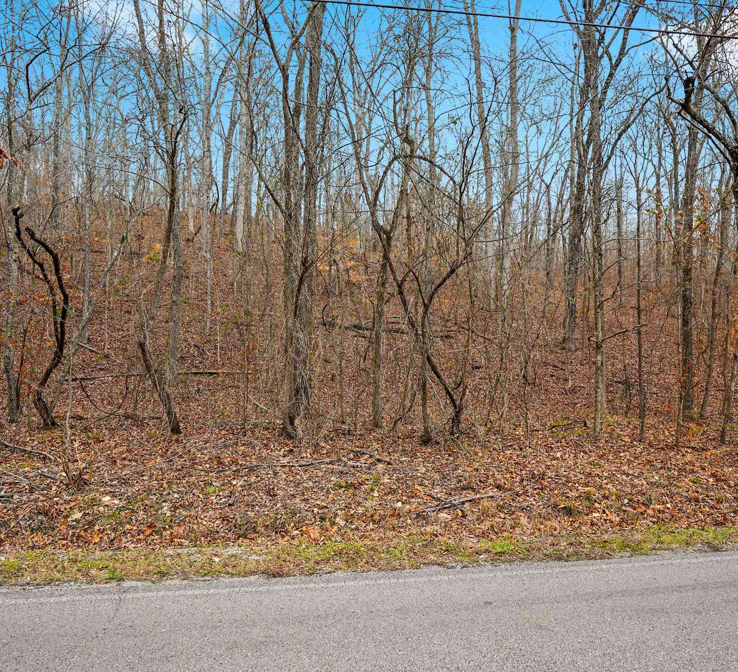 Bill Brake Road, Dover, Tennessee image 3