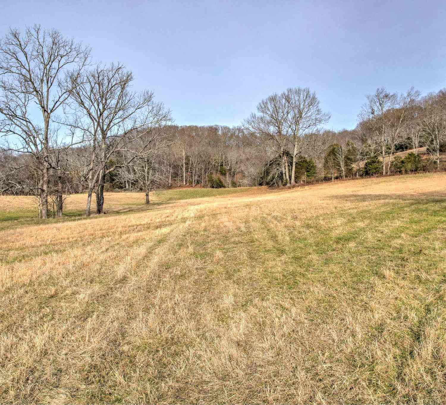 1089 Pennington Private Way, Hendersonville, Tennessee image 17