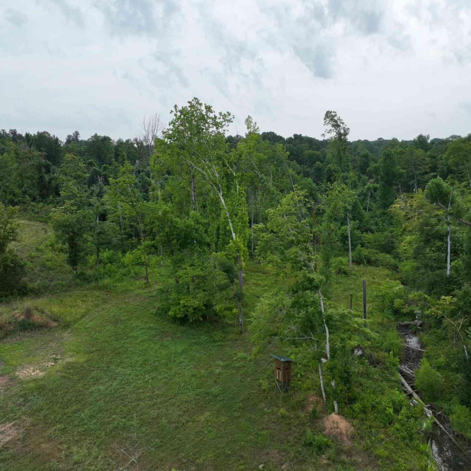 1047 E Piney Rd, Dickson, Tennessee image 7