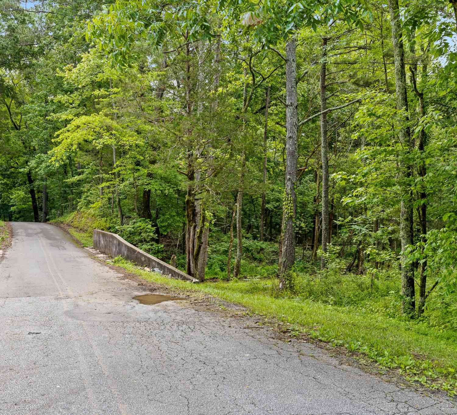 Warren East Road, La Fayette, Georgia image 3