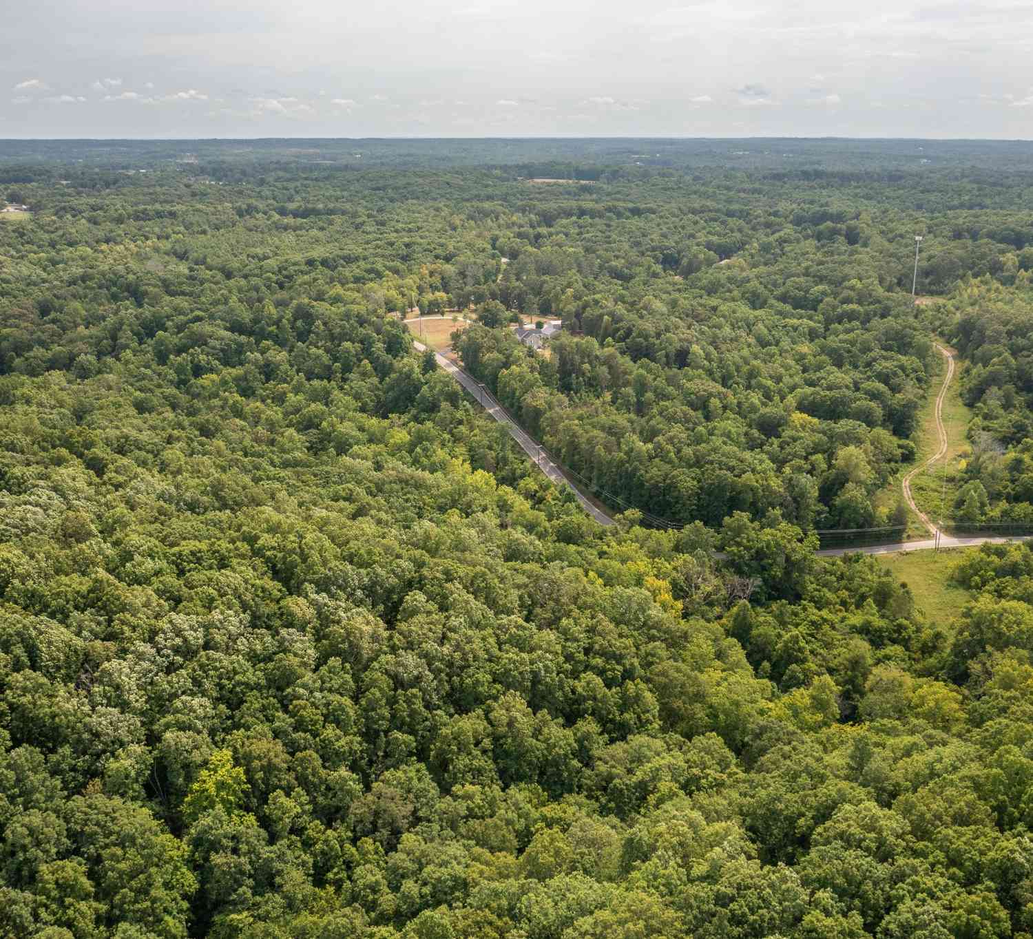 Crow Cut Road, Fairview, Tennessee image 10