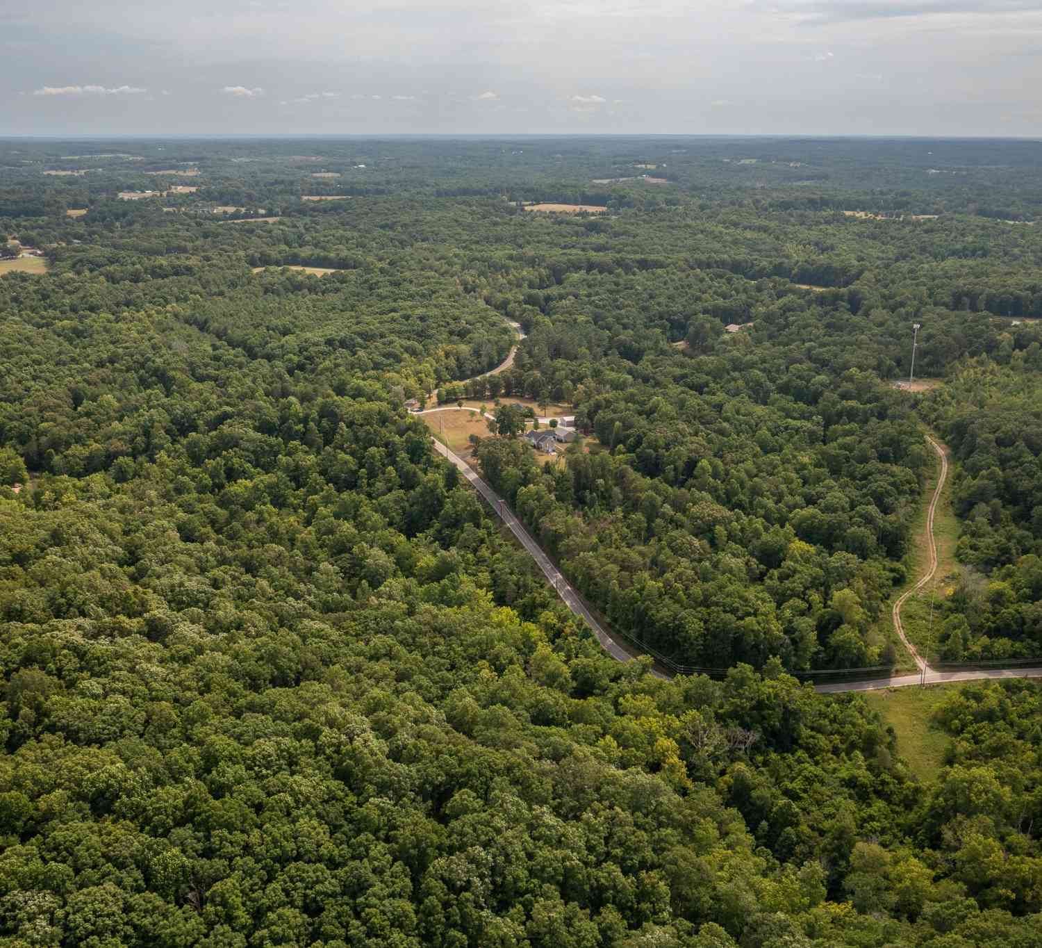 Crow Cut Road, Fairview, Tennessee image 1