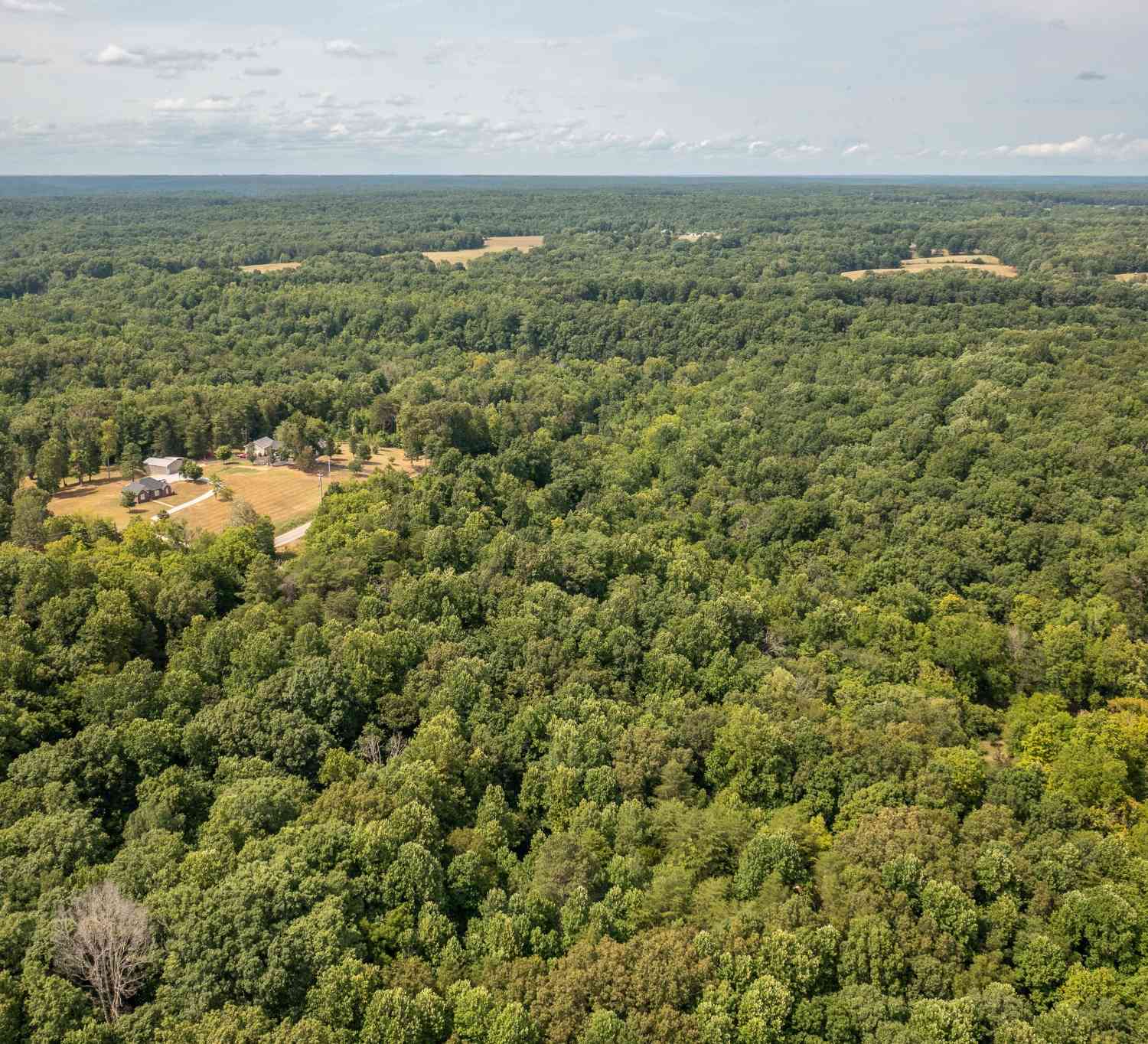 Crow Cut Road, Fairview, Tennessee image 14