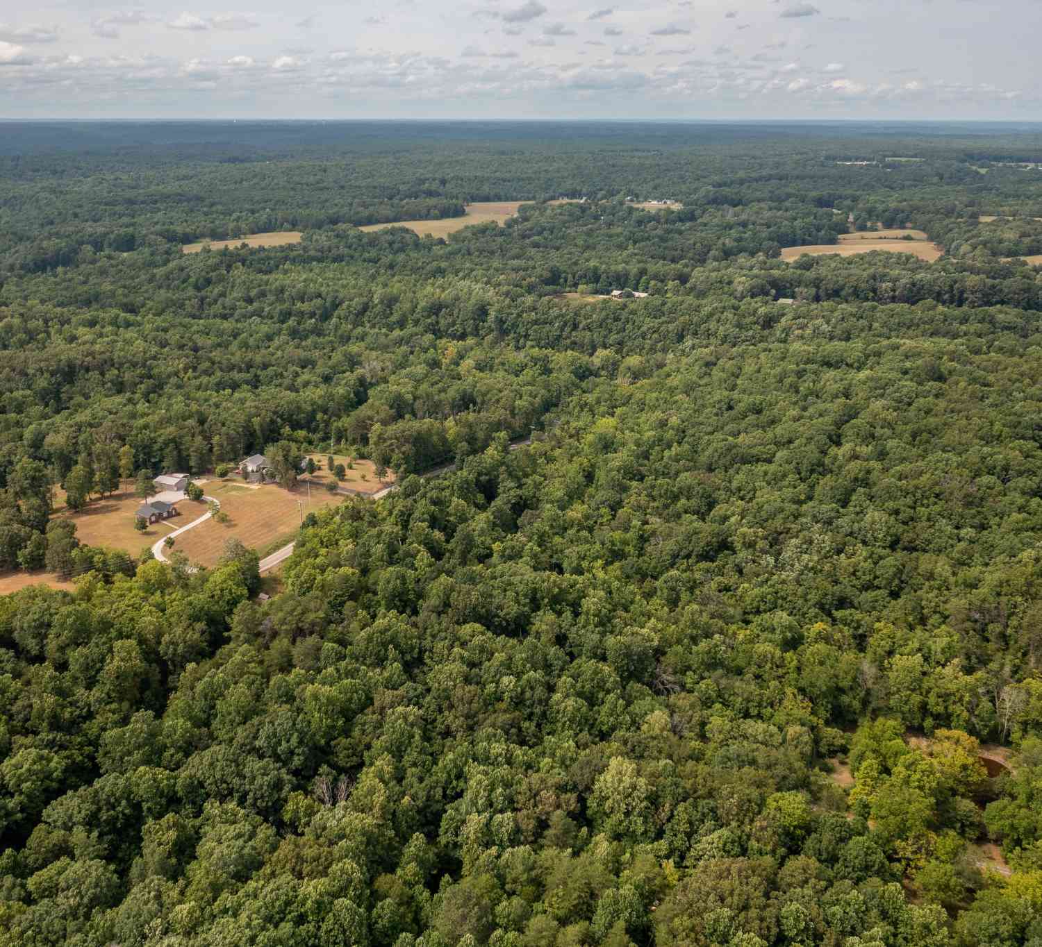 Crow Cut Road, Fairview, Tennessee image 6