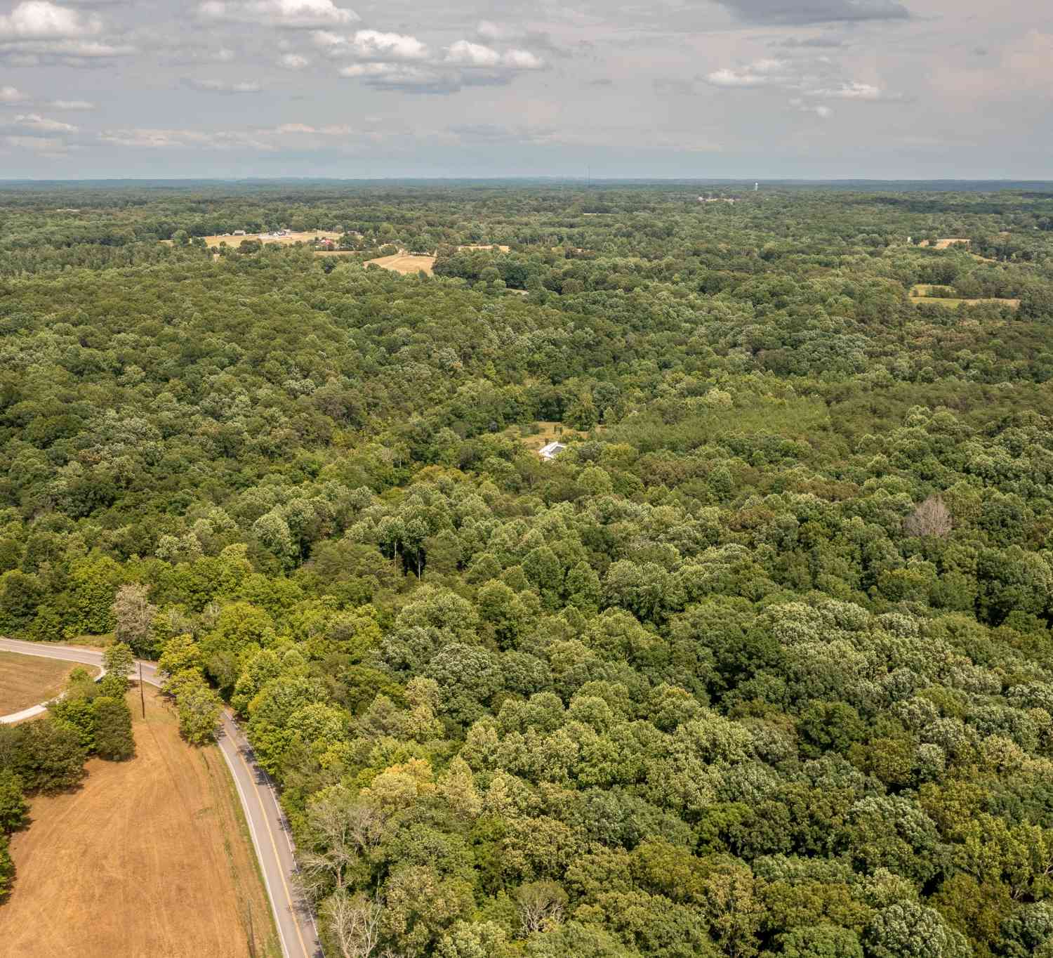 Crow Cut Road, Fairview, Tennessee image 13