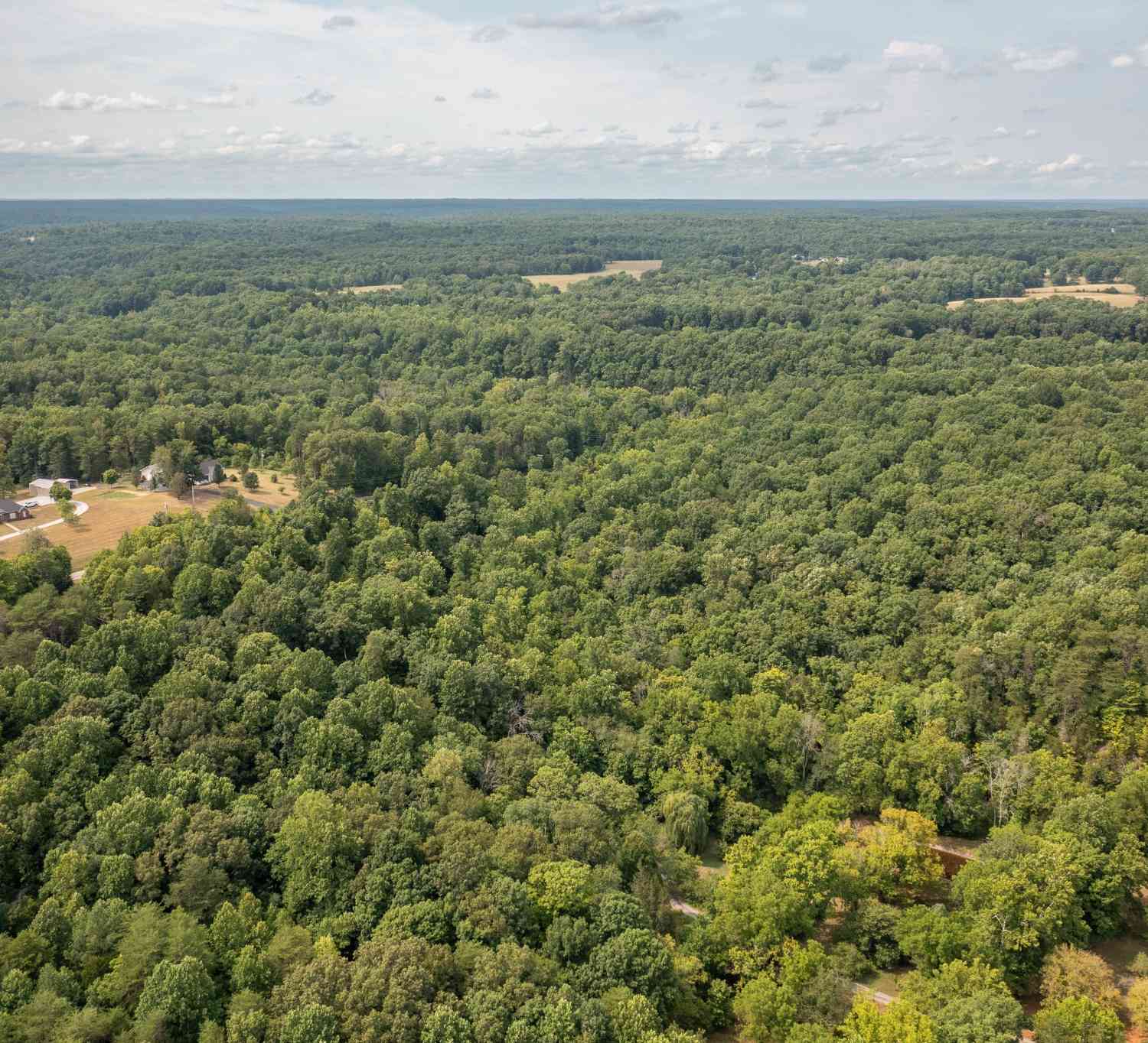 Crow Cut Road, Fairview, Tennessee image 8