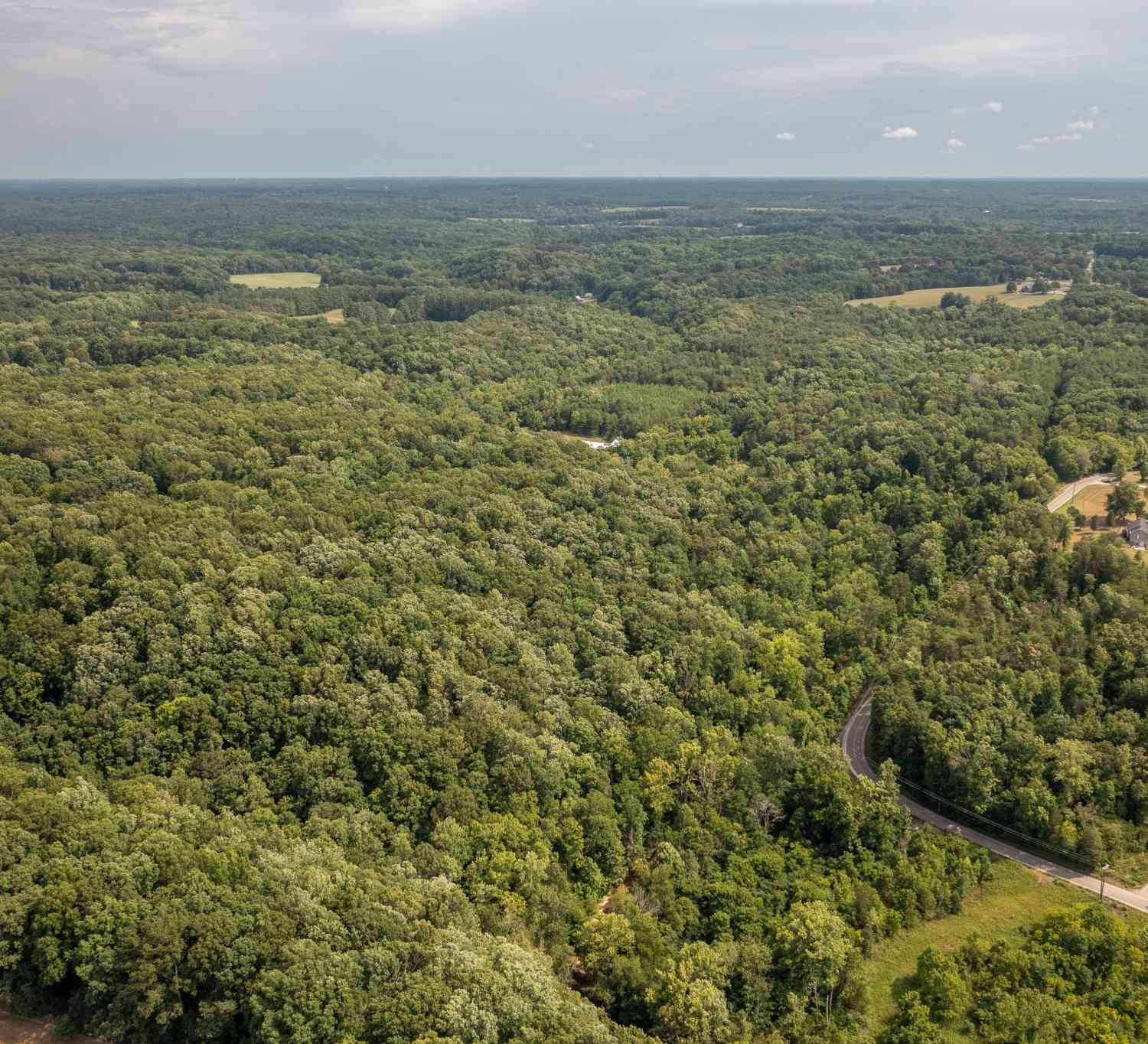 Crow Cut Road, Fairview, Tennessee image 5