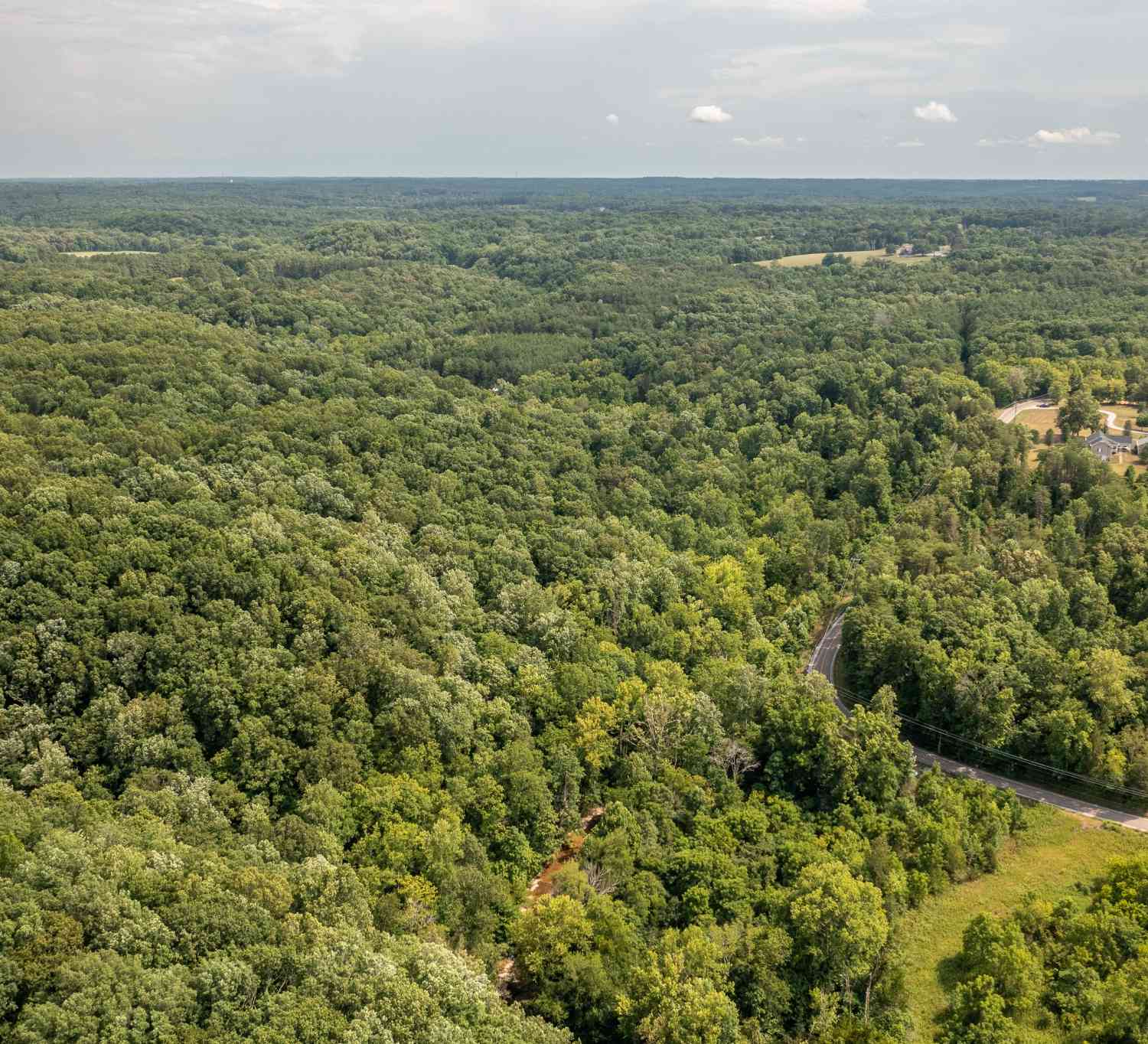 Crow Cut Road, Fairview, Tennessee image 11