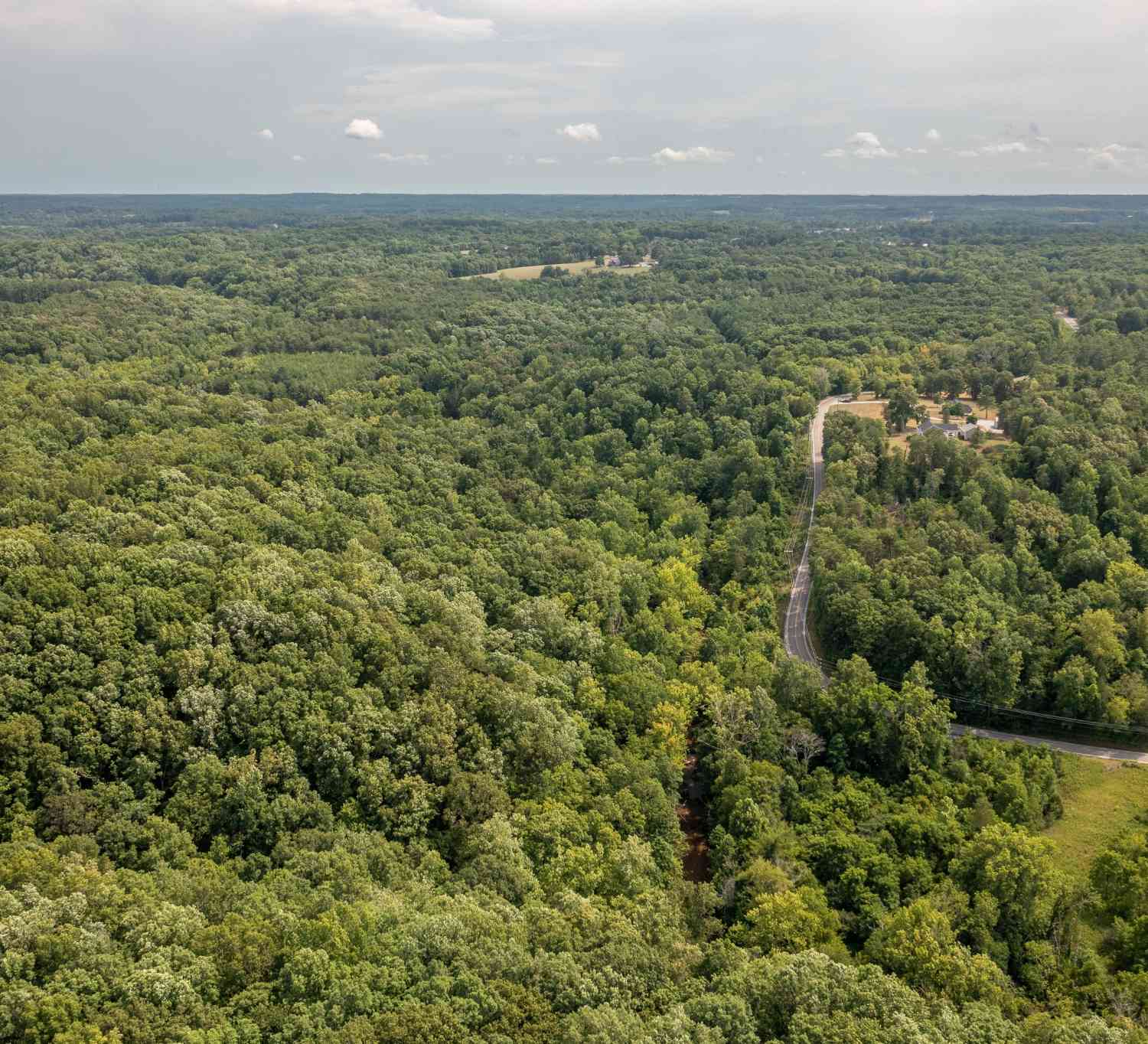 Crow Cut Road, Fairview, Tennessee image 12