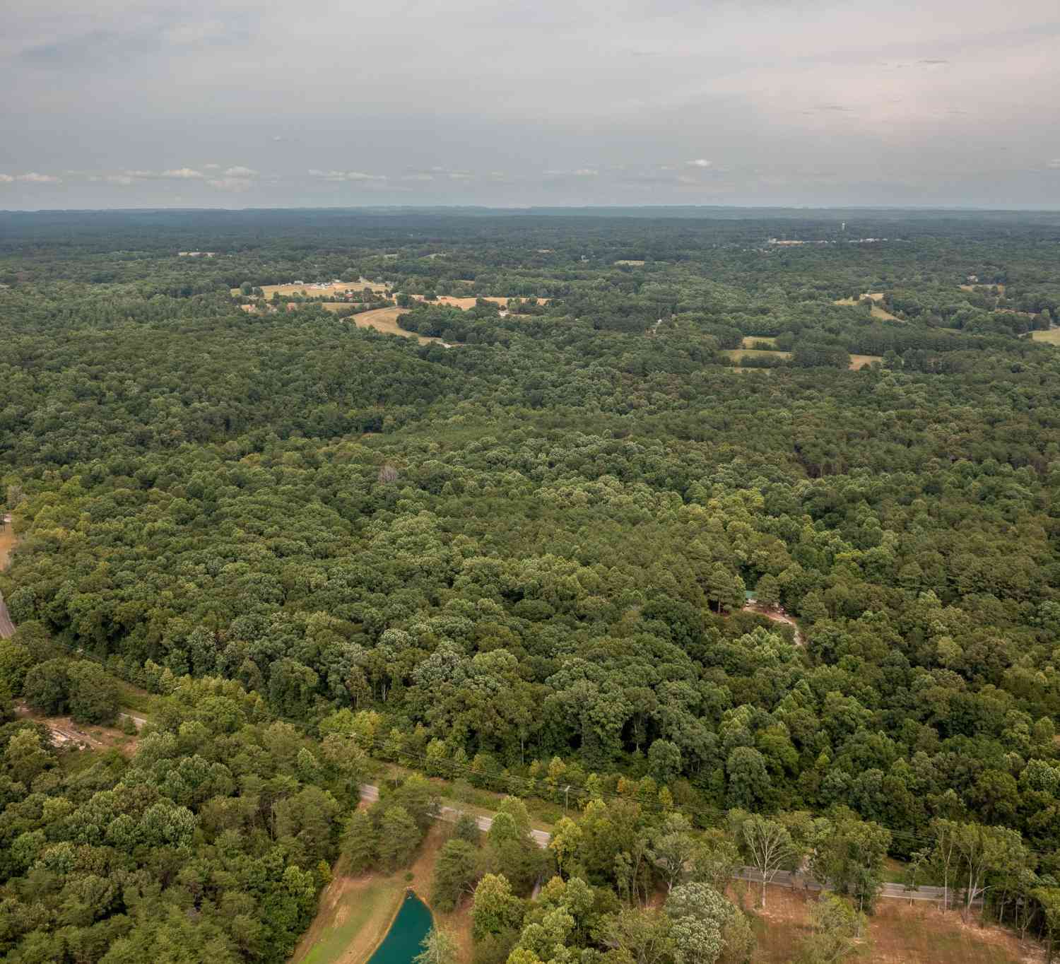 Crow Cut Rd, Fairview, Tennessee image 4