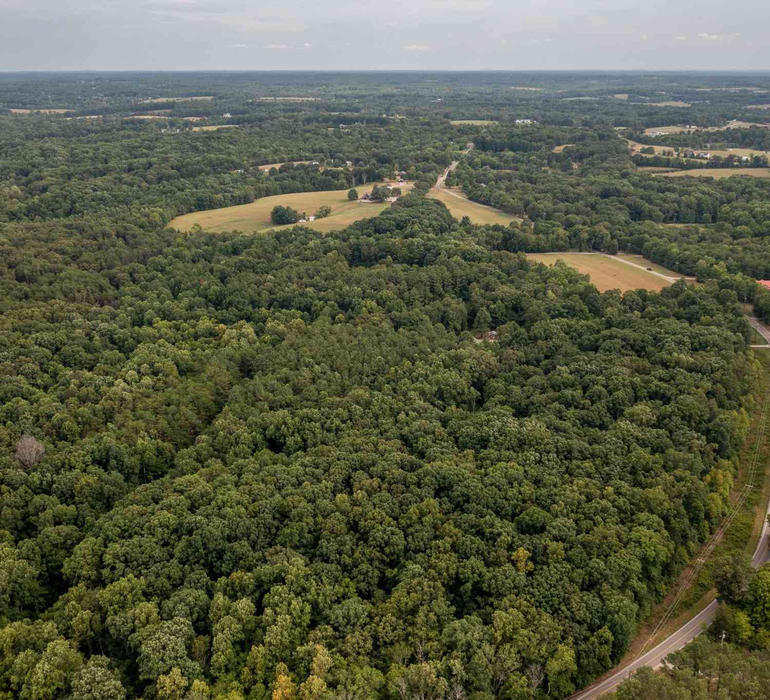 Crow Cut Rd, Fairview, Tennessee image 6