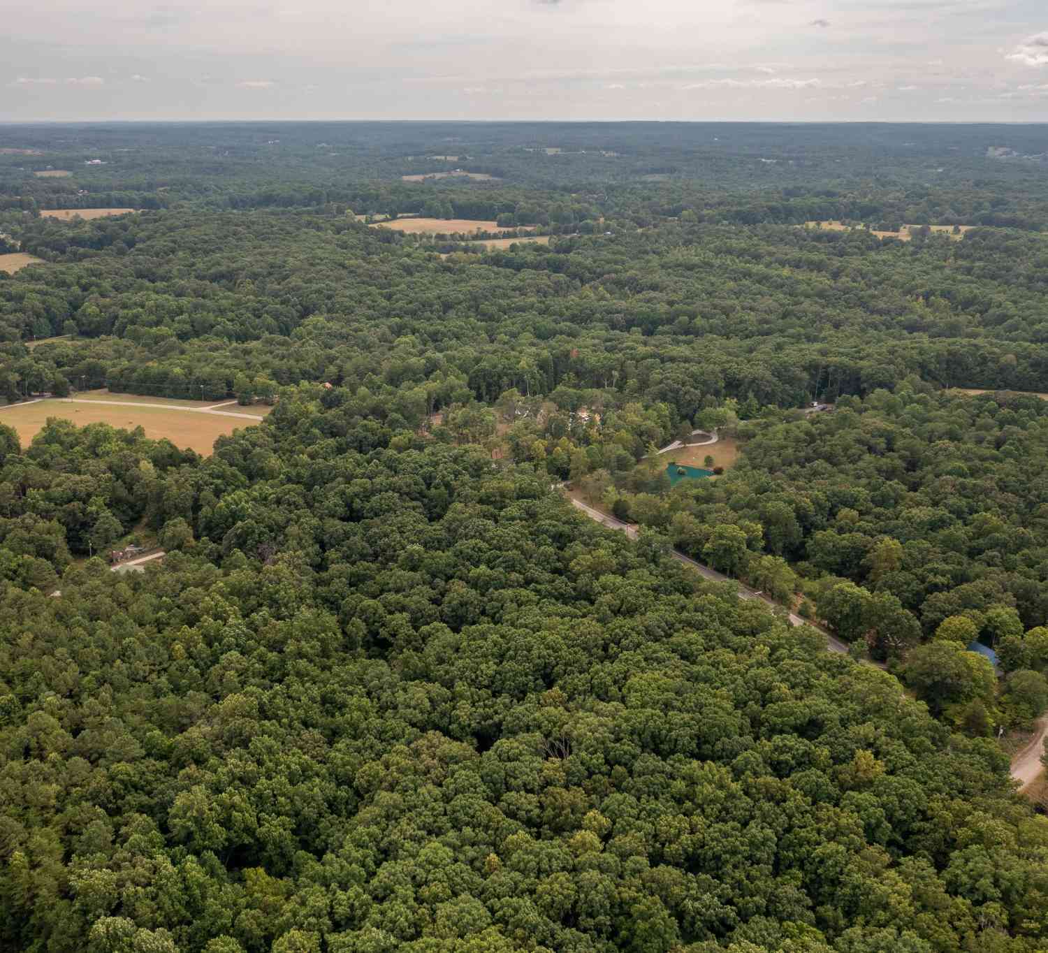 Crow Cut Rd, Fairview, Tennessee image 8