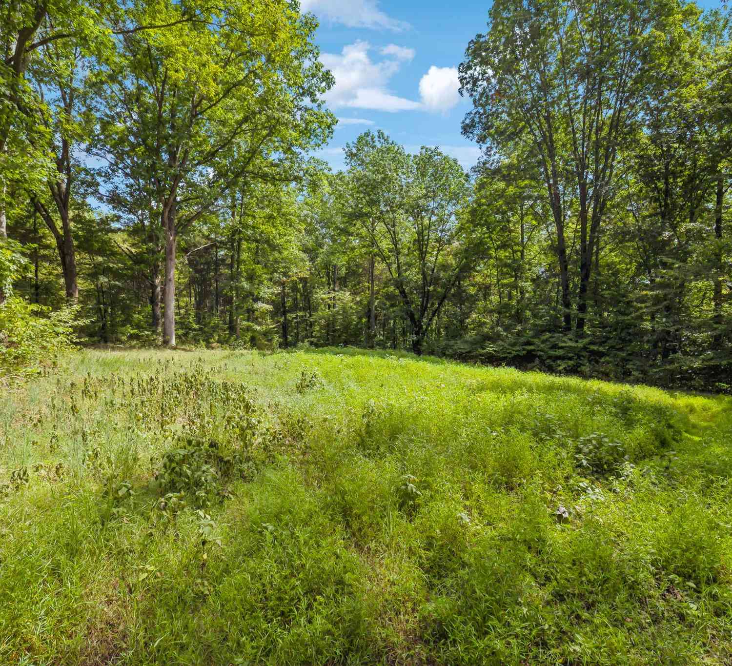5755 N Lick Creek Rd, Franklin, Tennessee image 44