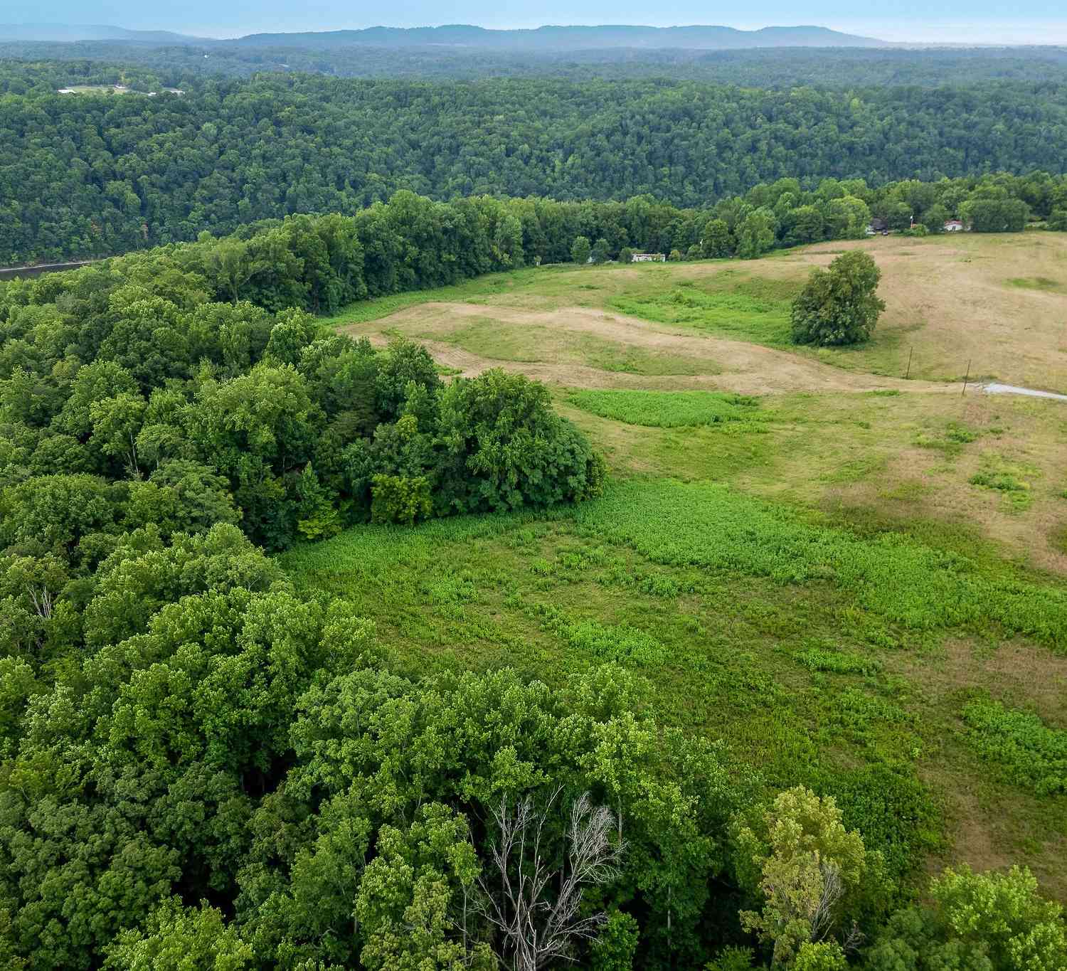 Potts Camp Rd, Smithville, Tennessee image 1