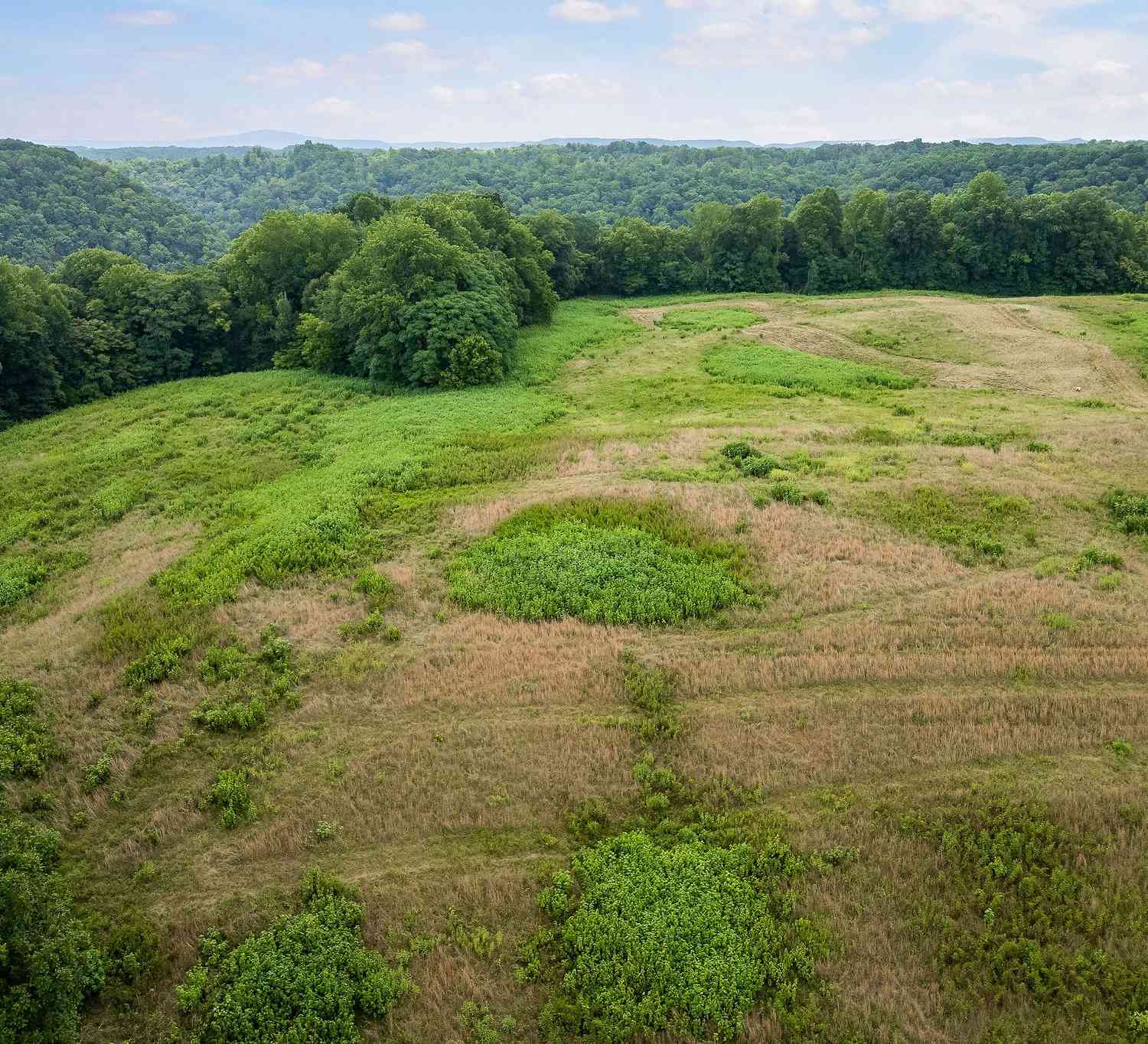 Potts Camp Rd, Smithville, Tennessee image 5