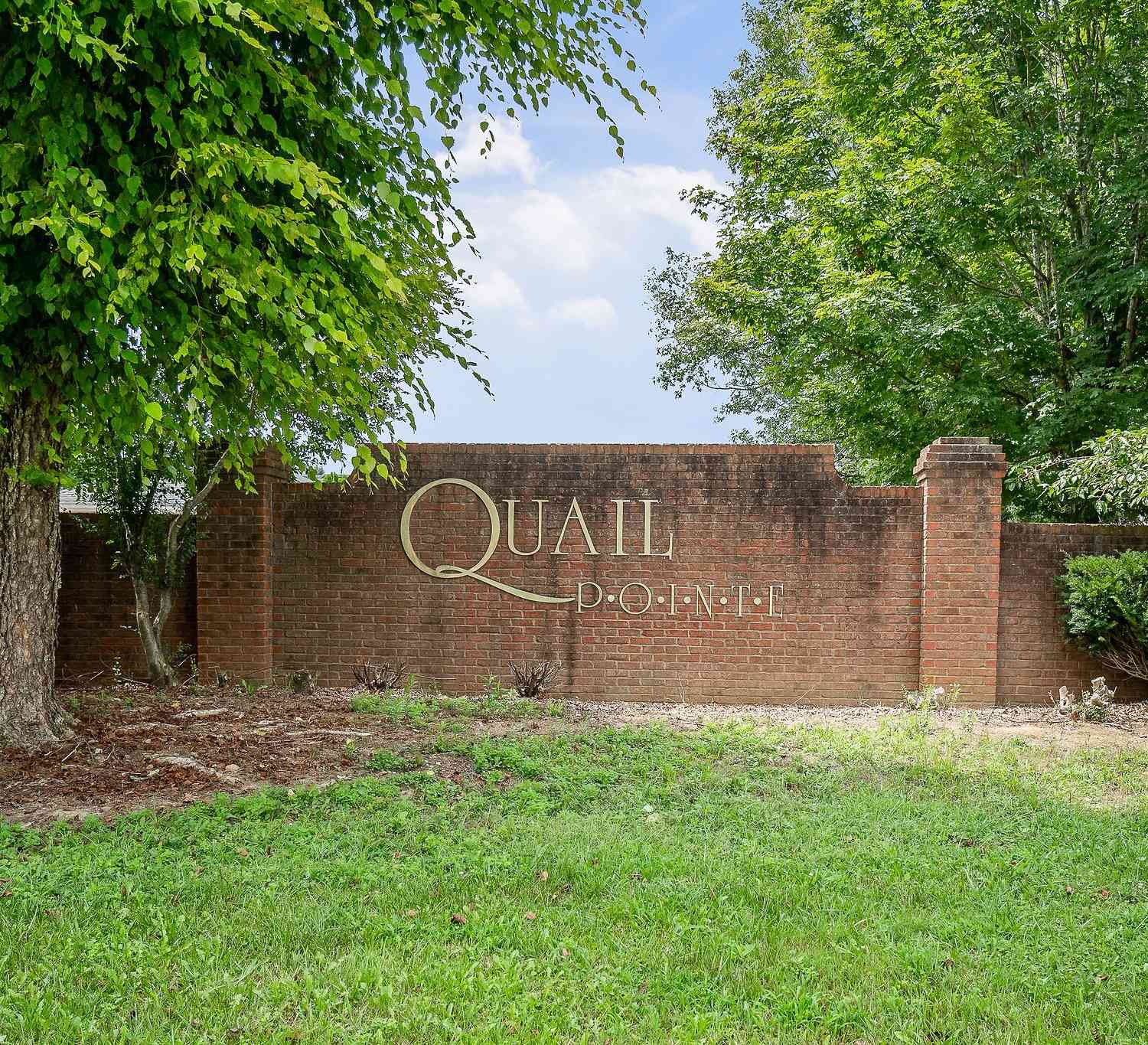 Quail Pointe Dr, Smithville, Tennessee image 13