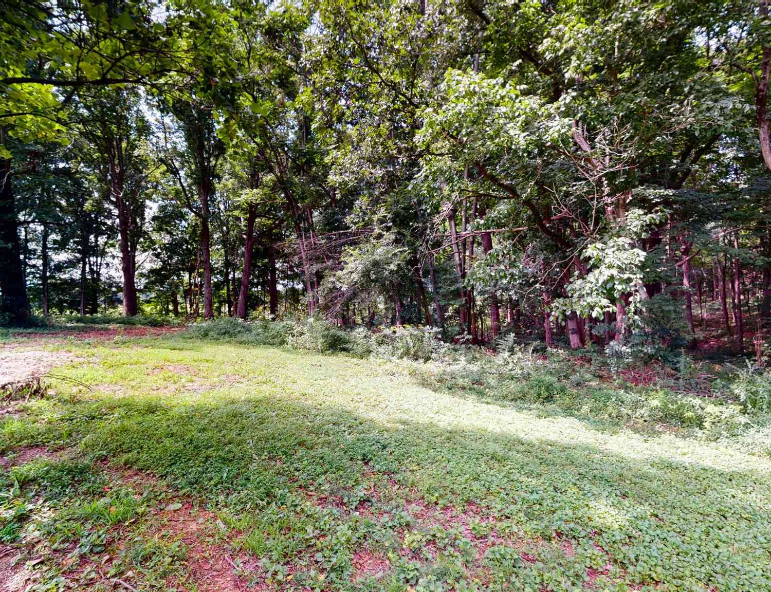 512 N Happy Hollow Rd, Portland, Tennessee image 18