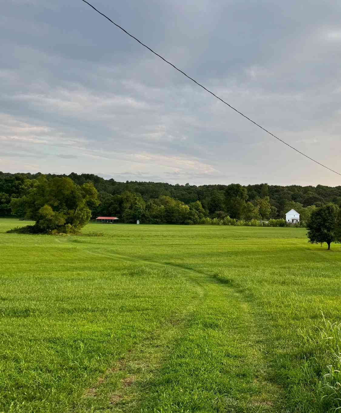 Walnut Grove Rd, Dickson, Tennessee image 3