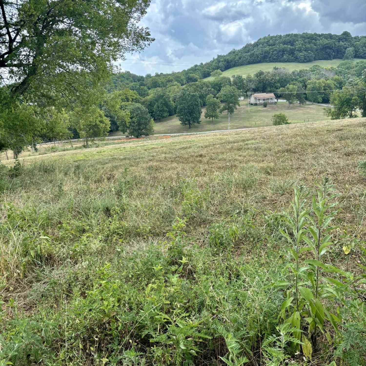 Mclaughlin Lane, Shelbyville, Tennessee image 3