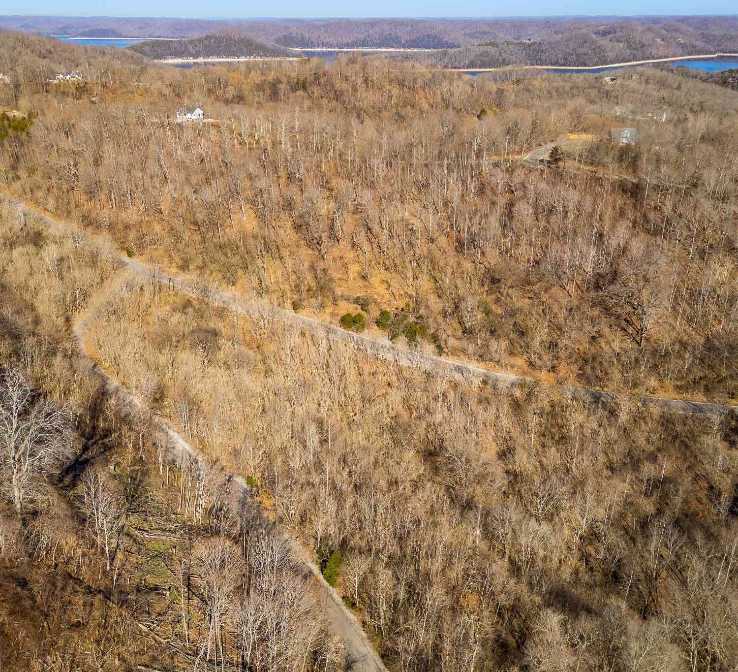 Waterwalk Ct, Smithville, Tennessee image 9