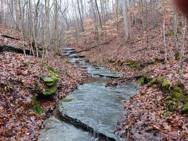 Brush Creek Rd, Fairview, Tennessee image 2