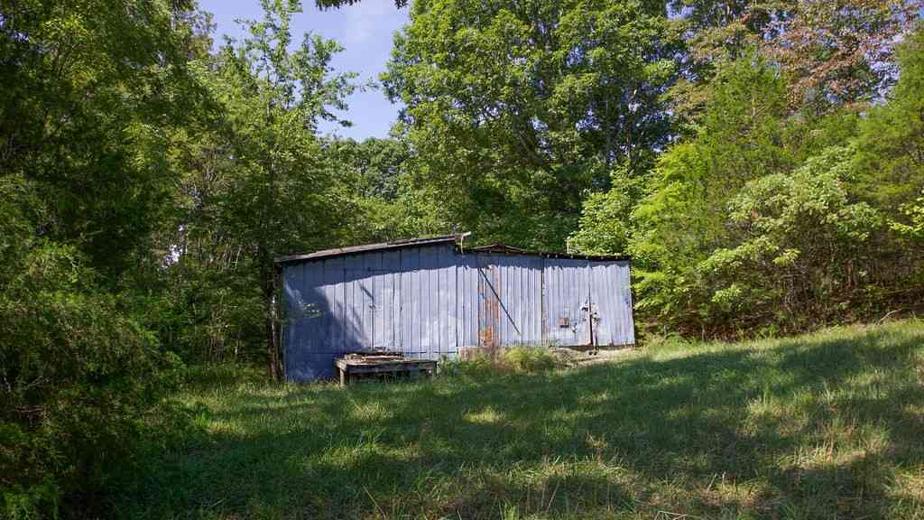 1142 Poss Rd, Smithville, Tennessee image 9