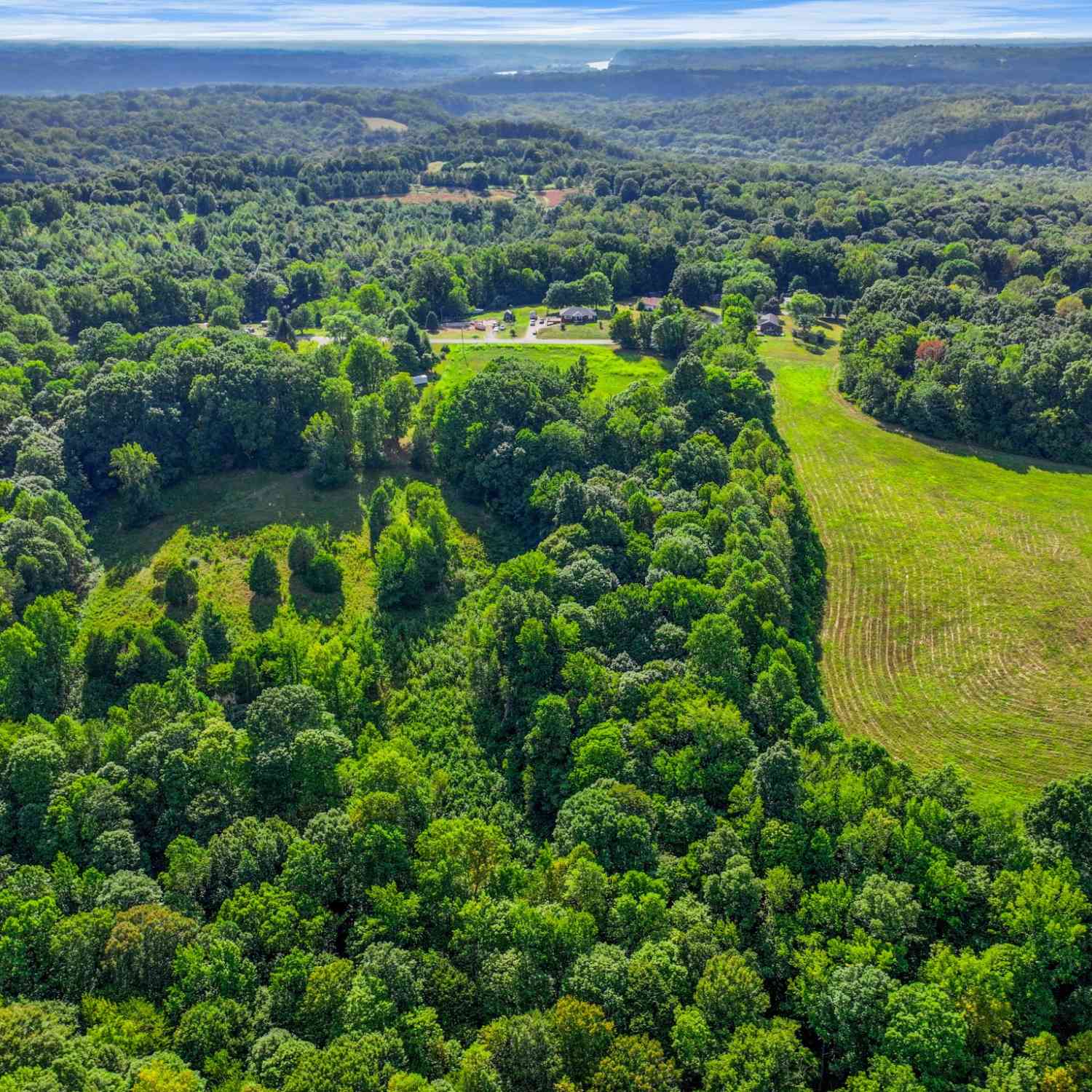 Bobbitt Rd, Ashland City, Tennessee image 5