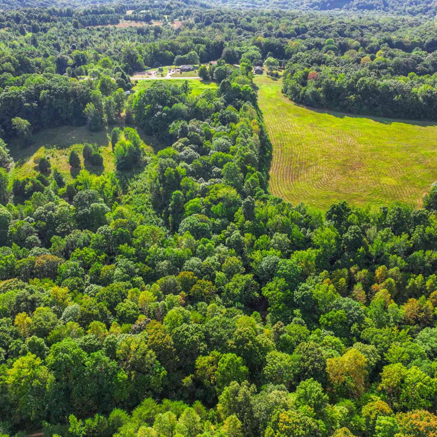 Bobbitt Rd, Ashland City, Tennessee image 8