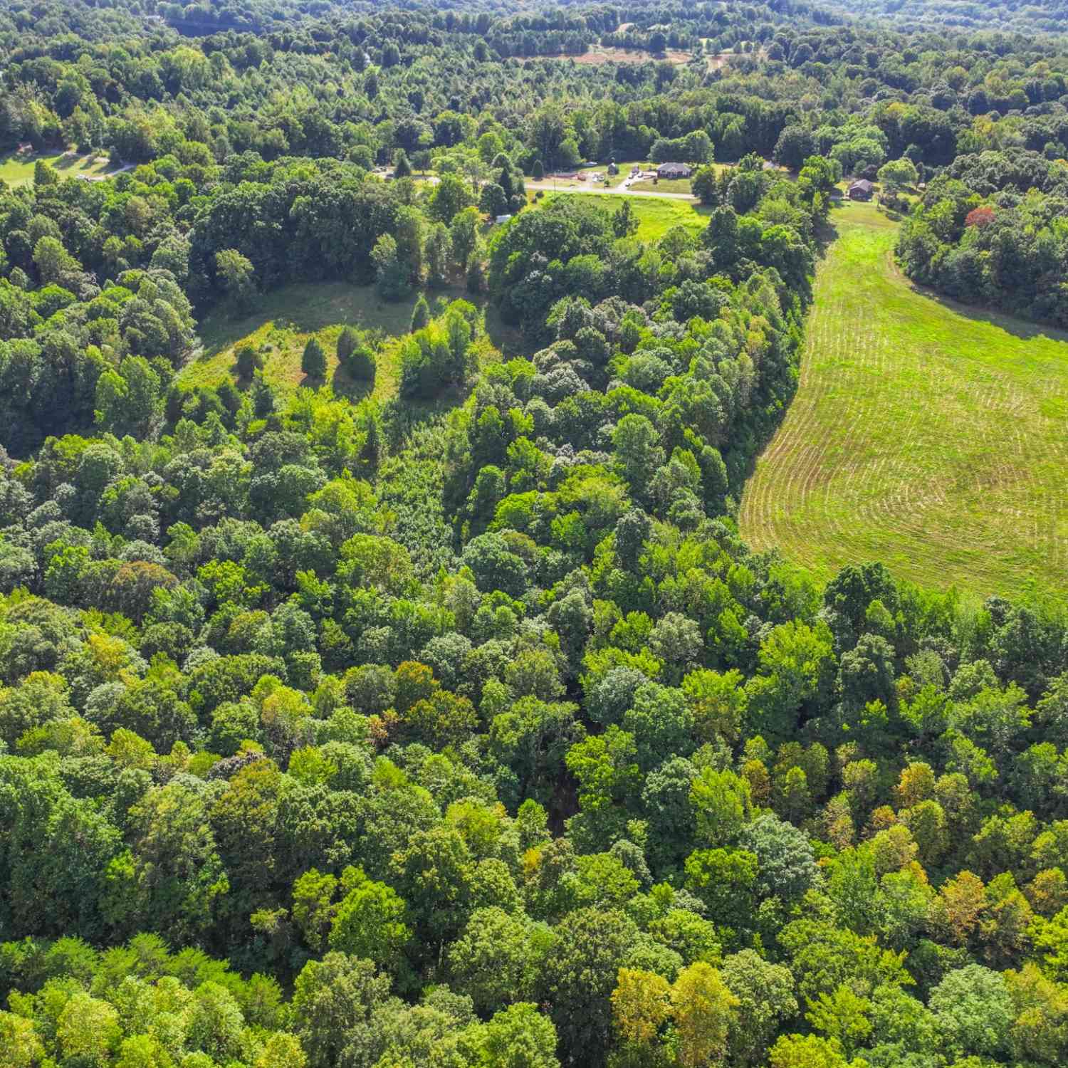 Bobbitt Rd, Ashland City, Tennessee image 7