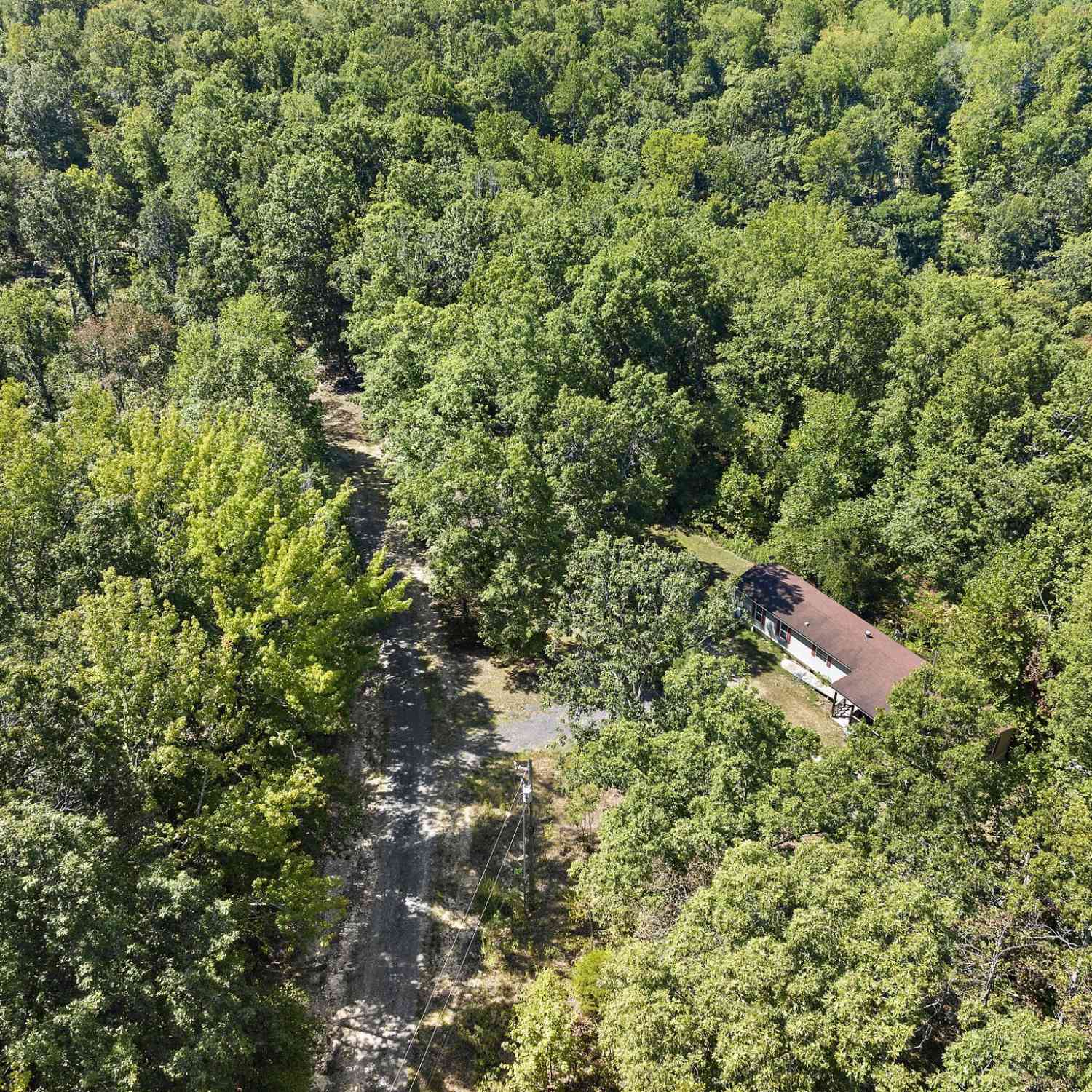 650 Wells Pt, Ashland City, Tennessee image 3