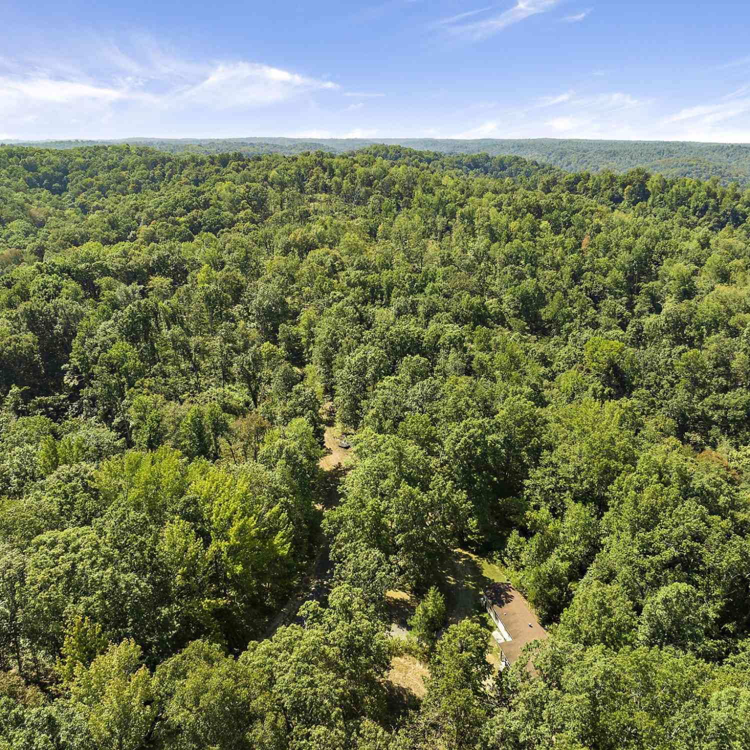 650 Wells Pt, Ashland City, Tennessee image 8