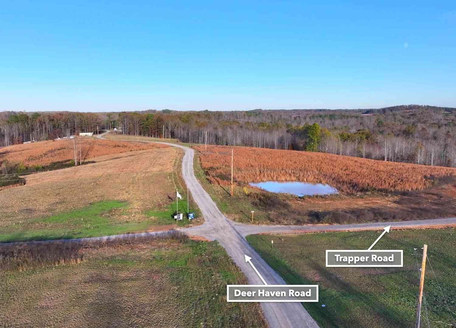 Freedom Ridge, Indian Mound, Tennessee image 8