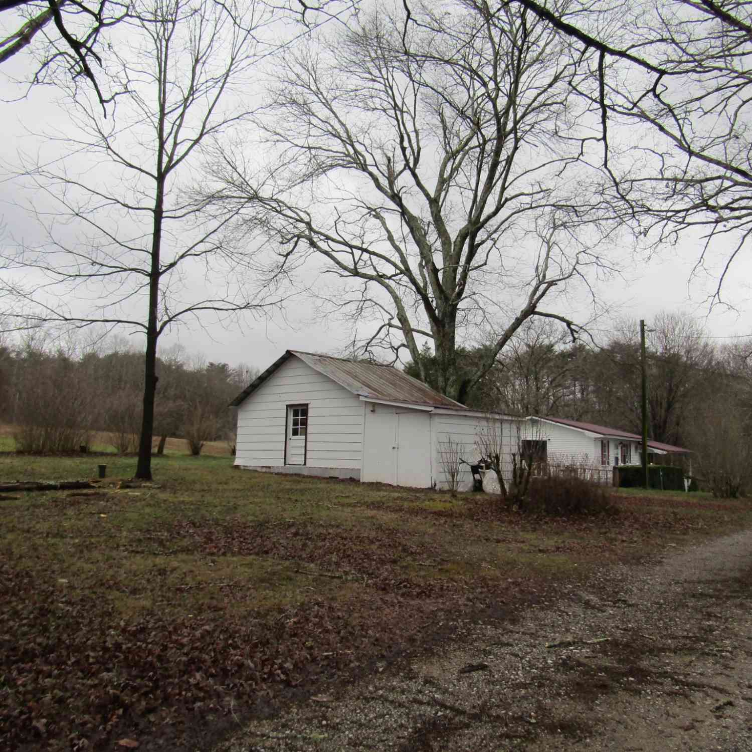 171 Sheep Ranch Rd, Altamont, Tennessee image 29