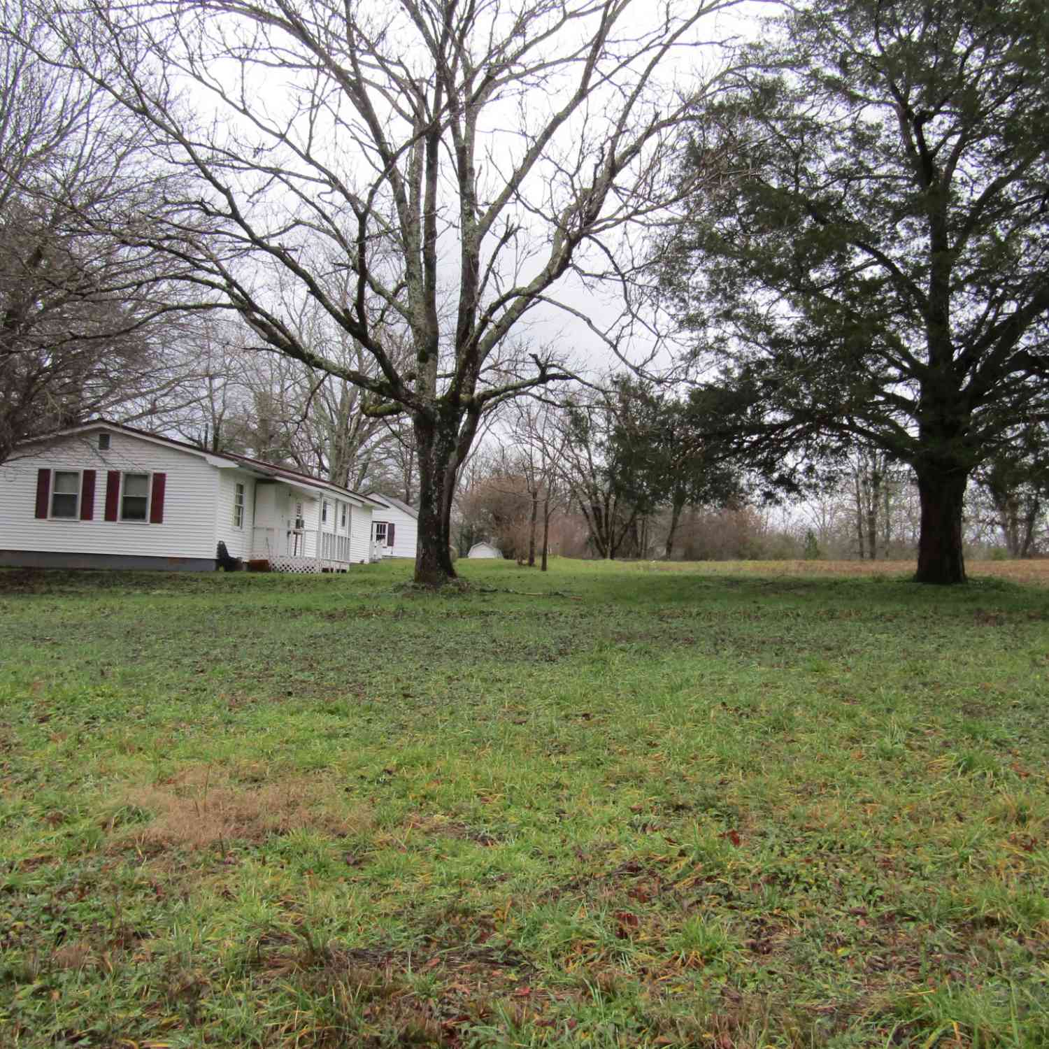 171 Sheep Ranch Rd, Altamont, Tennessee image 46