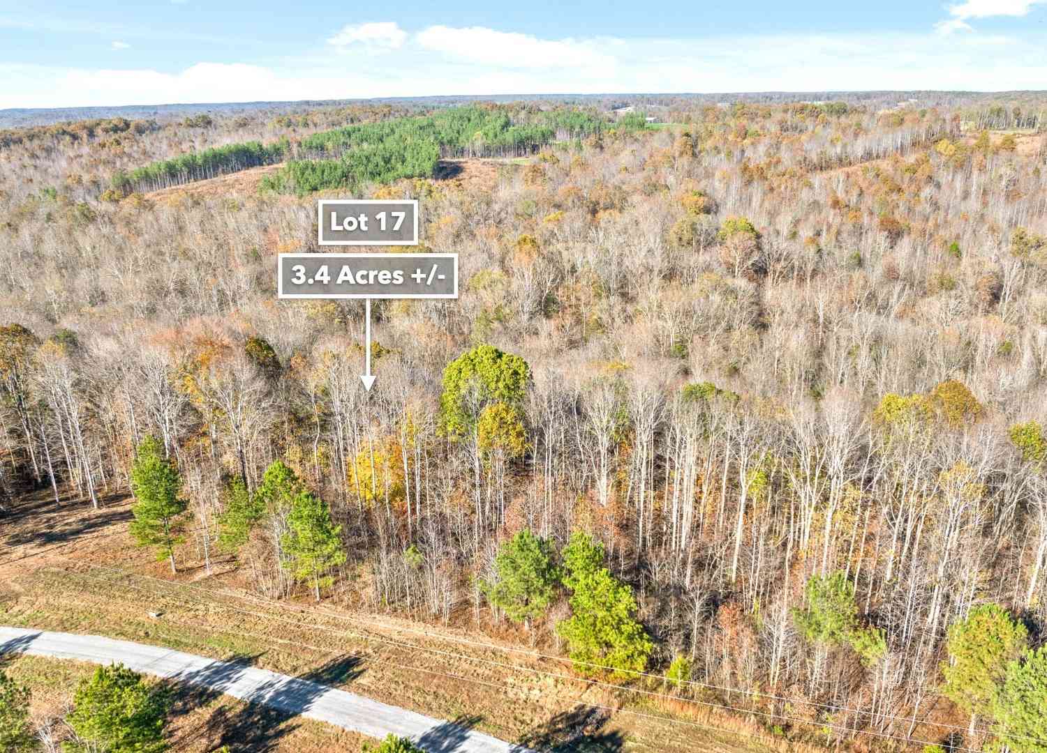 Freedom Ridge, Indian Mound, Tennessee image 2