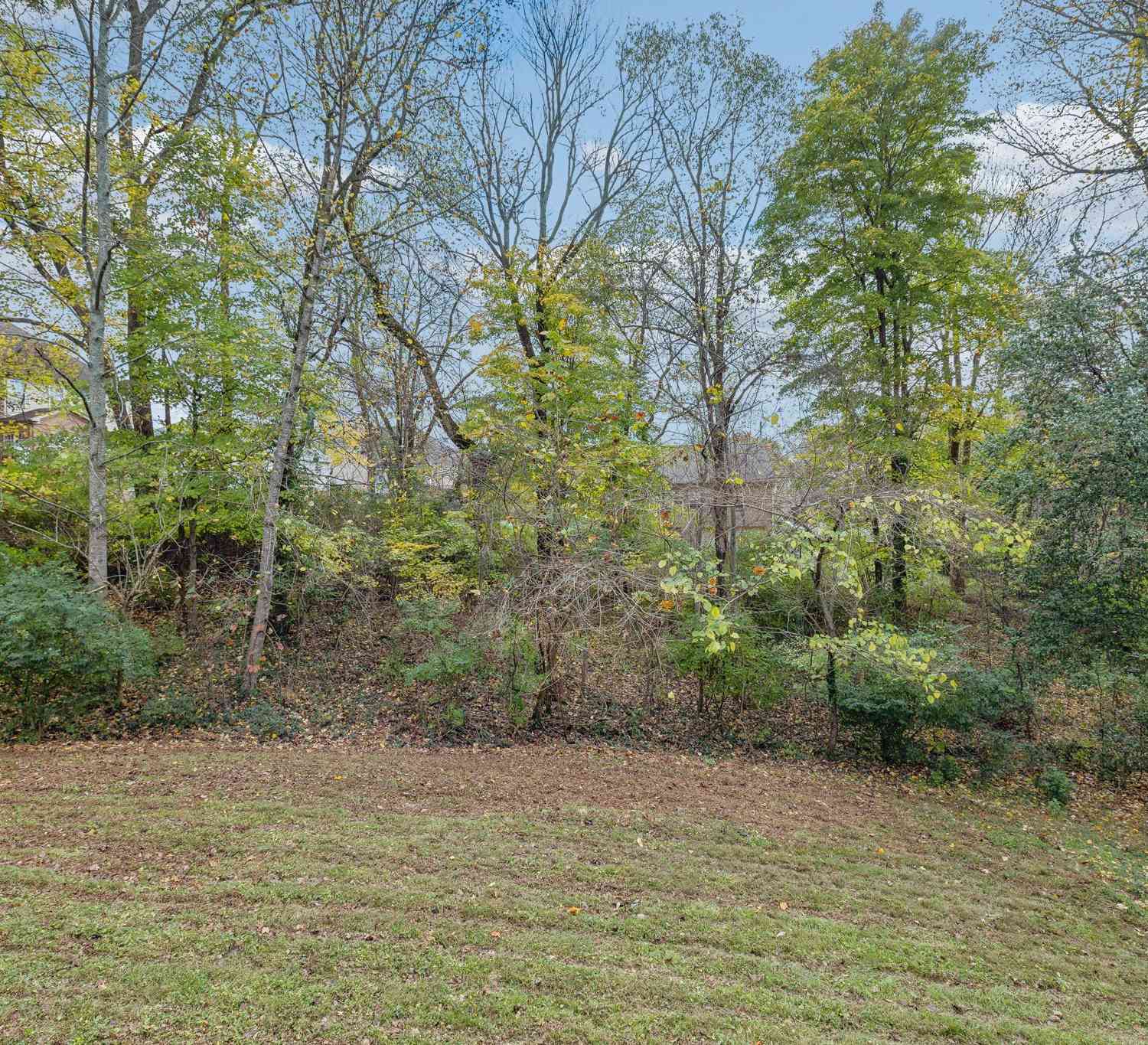 113 Nantahala Ct, Antioch, Tennessee image 35