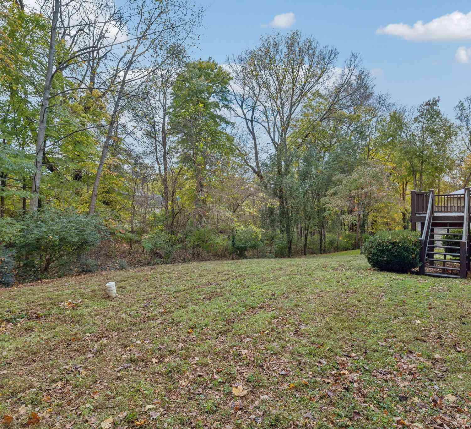 113 Nantahala Ct, Antioch, Tennessee image 37